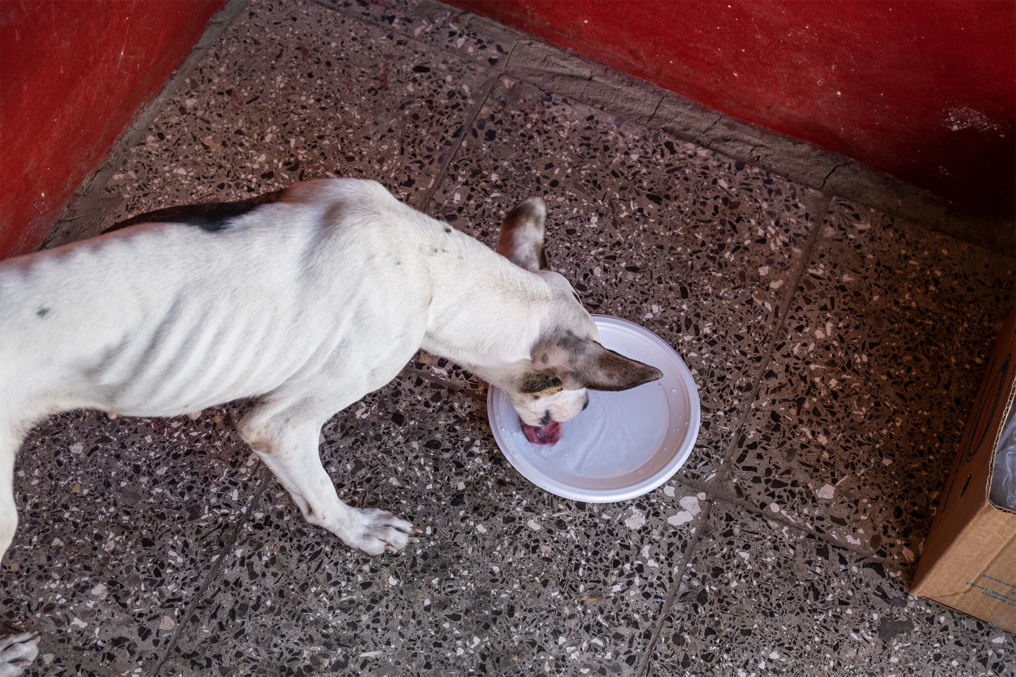 DSCF5889.jpg