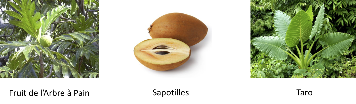3 Fruits - copie.png