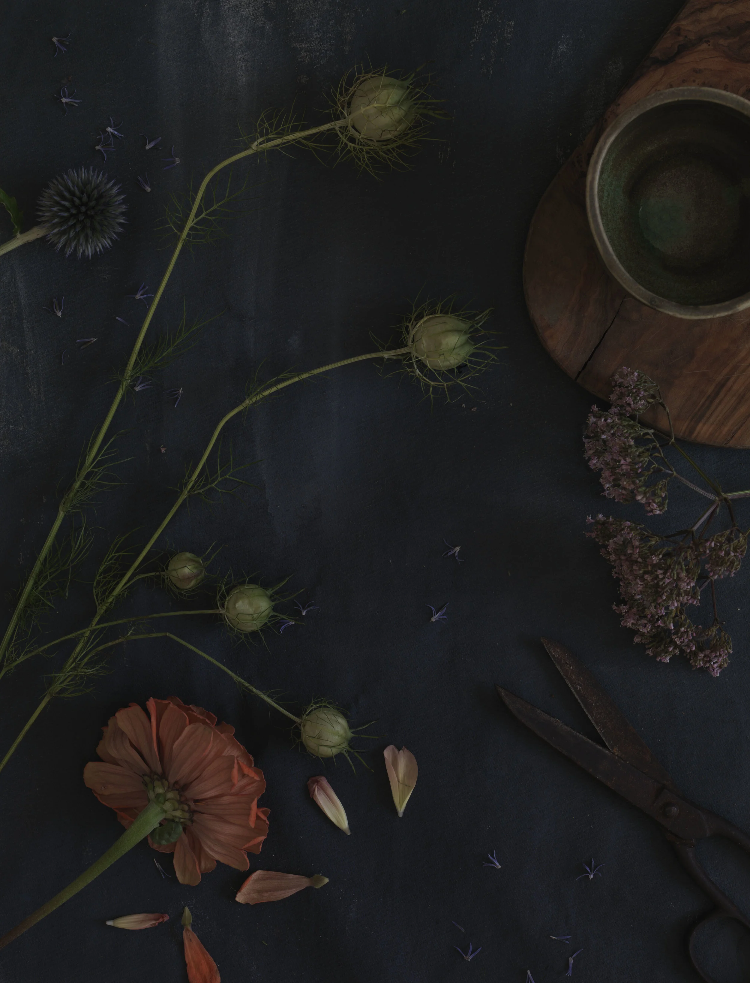 Jody Todd | Florist Juliet Glaves | Rakes Progress Magazine 