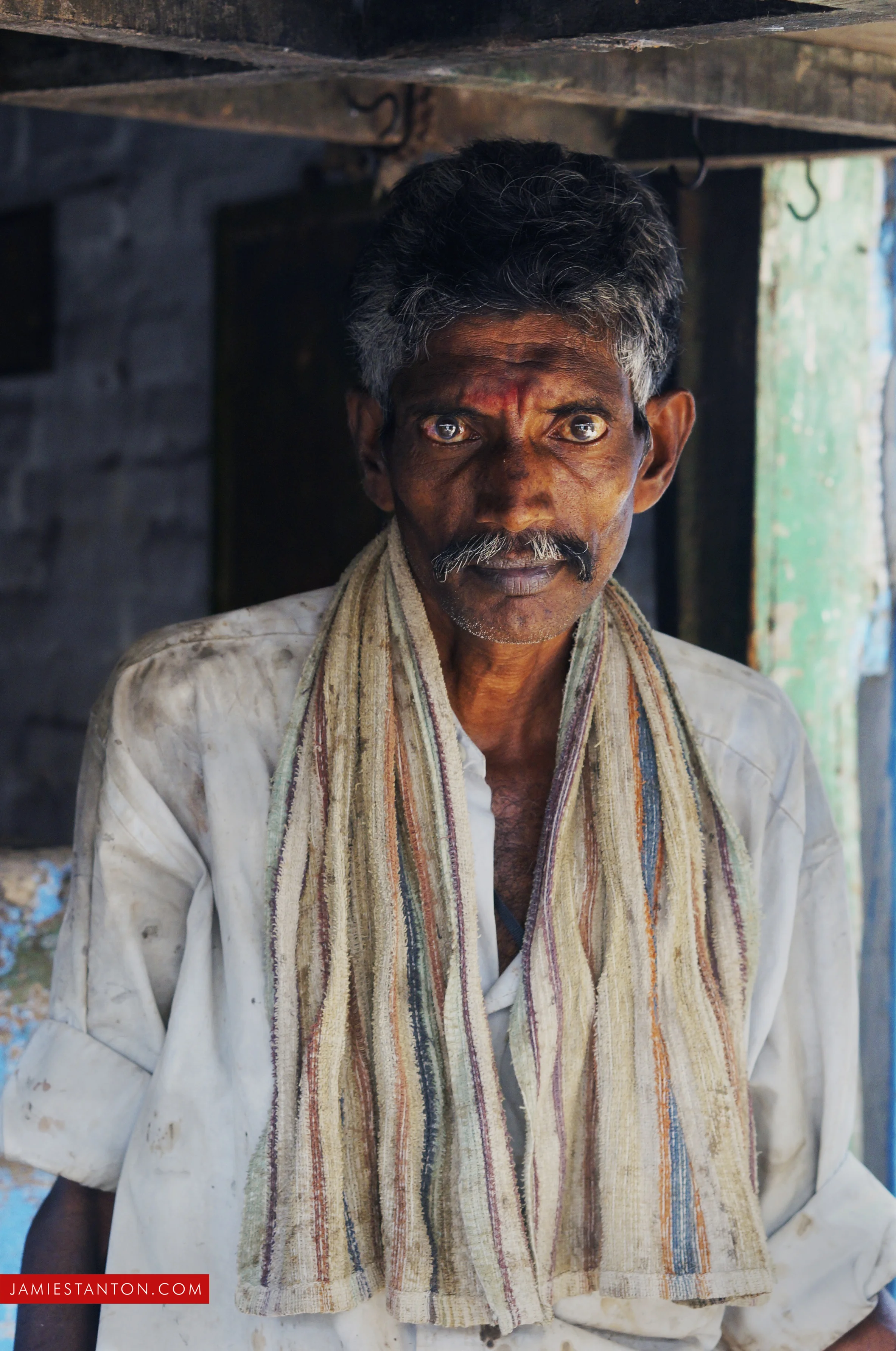 banana-vendor-madurai_15869188448_o.jpg