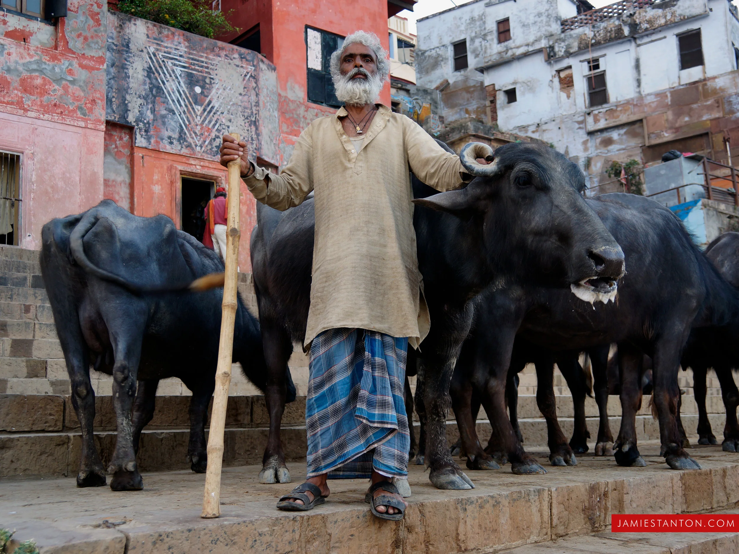 panjab-varanasi_15434280444_o.jpg
