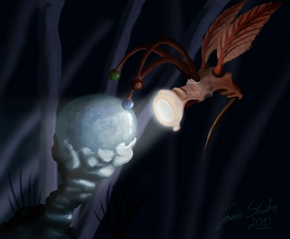 Torch-Bird.jpg