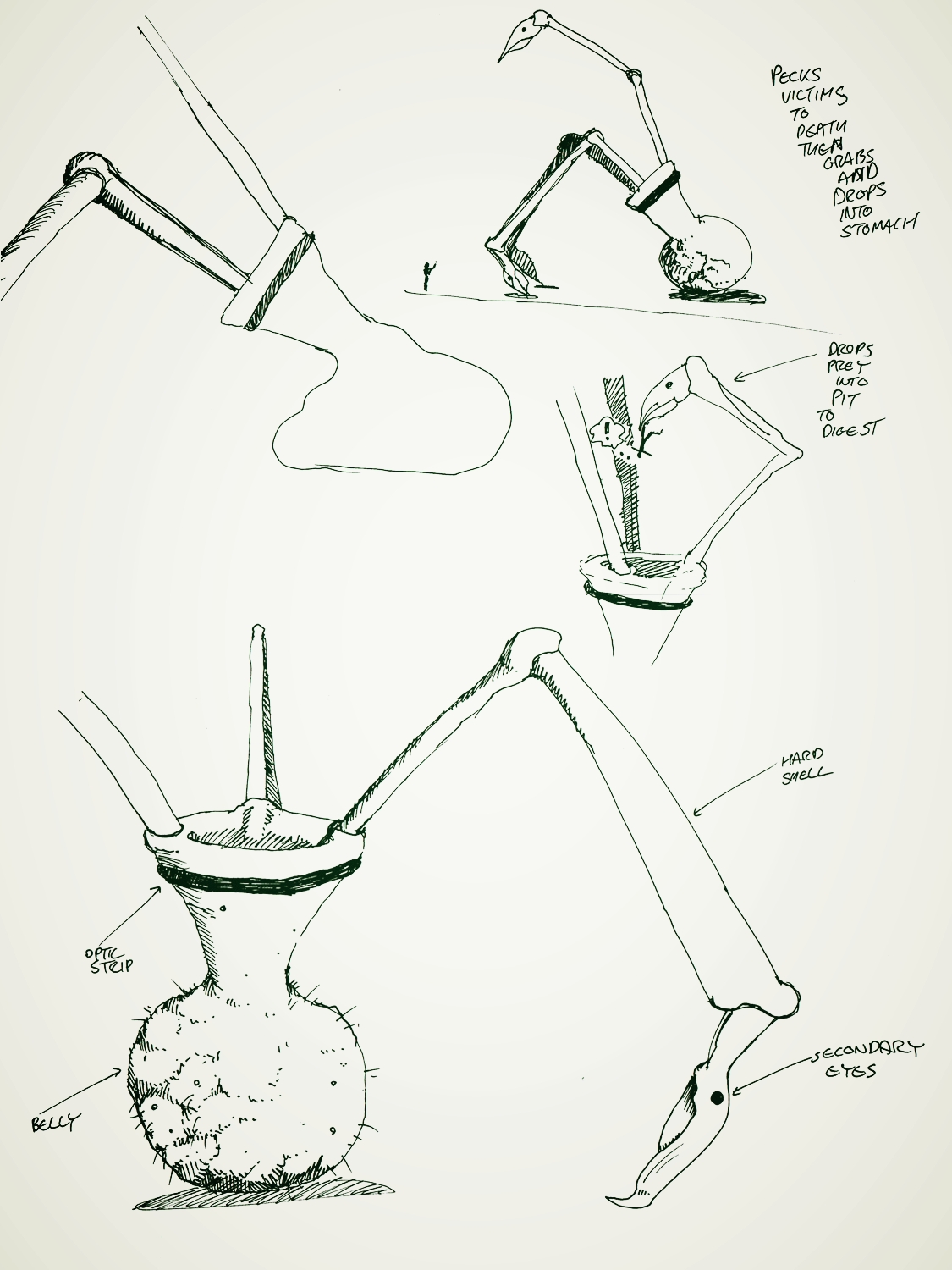 This vase-shaped tripod walks around on three beaks, and throws prey into its acidic open stomach at its centre. 