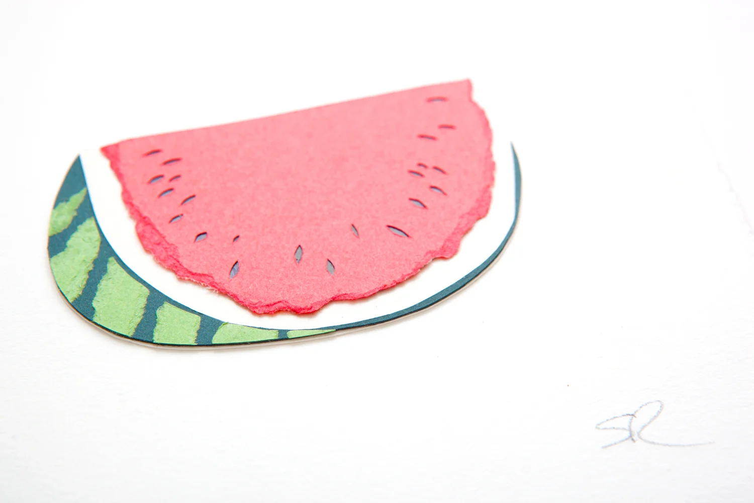 Watermelon in detail