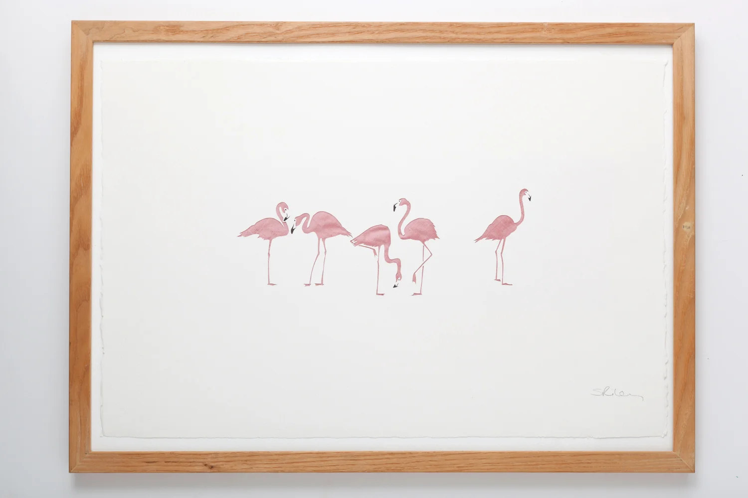 Five flamingos