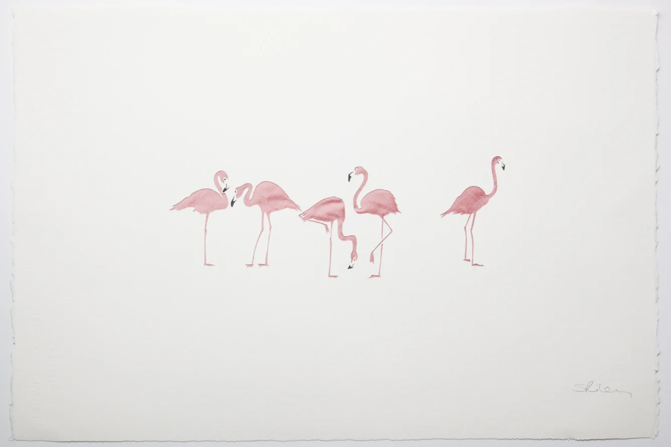 Five flamingos