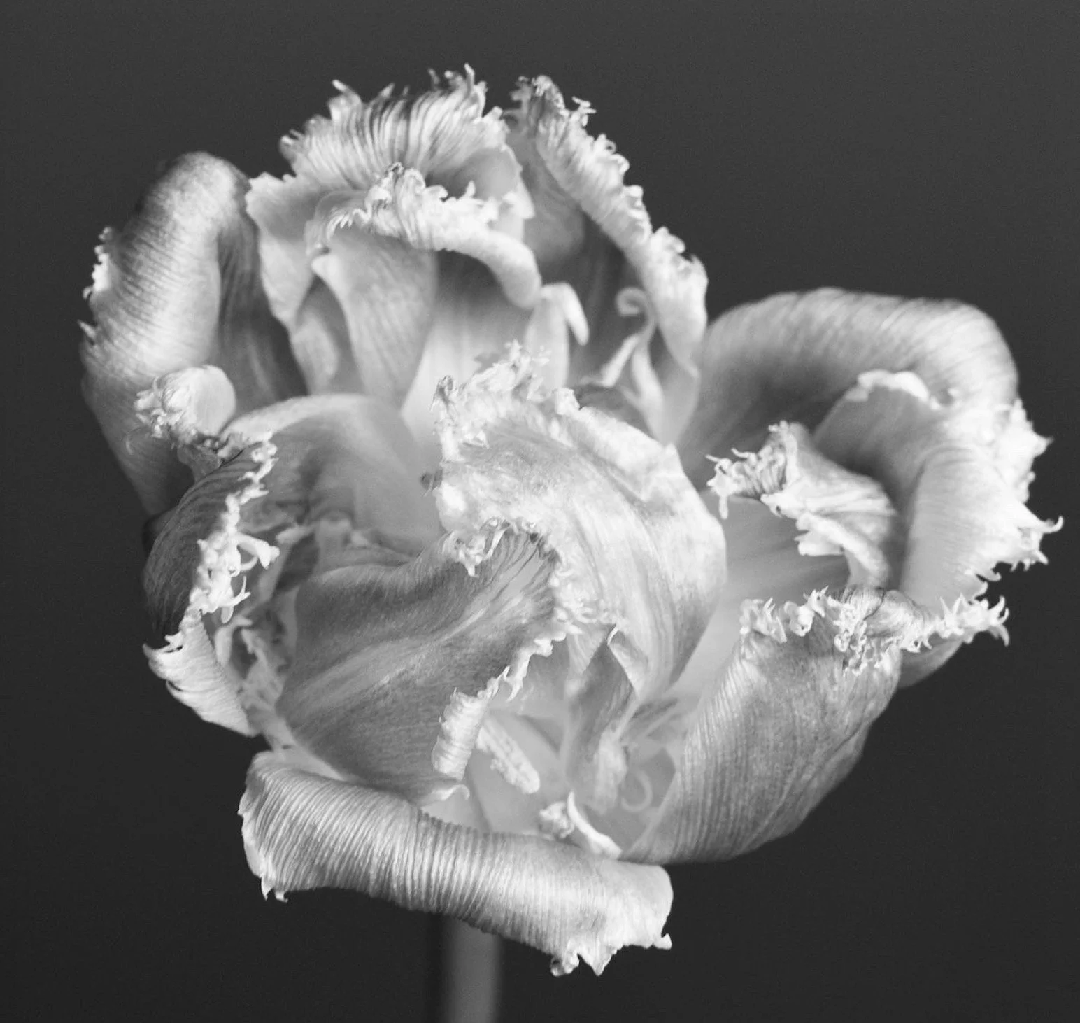 Skärmavbild 2023-12-04 kl. 15.51.54.jpeg