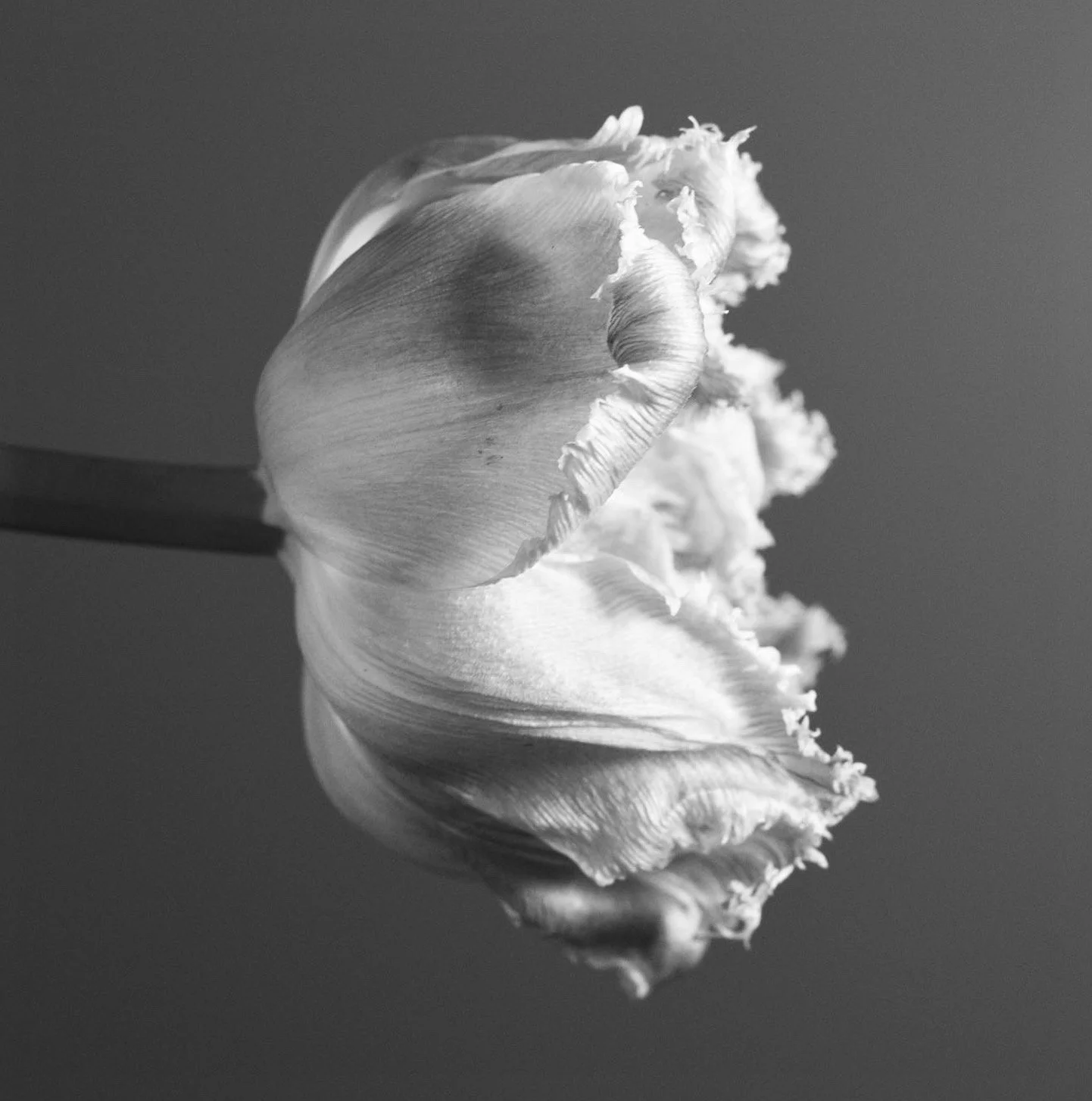 Skärmavbild 2023-12-04 kl. 15.51.22.jpeg