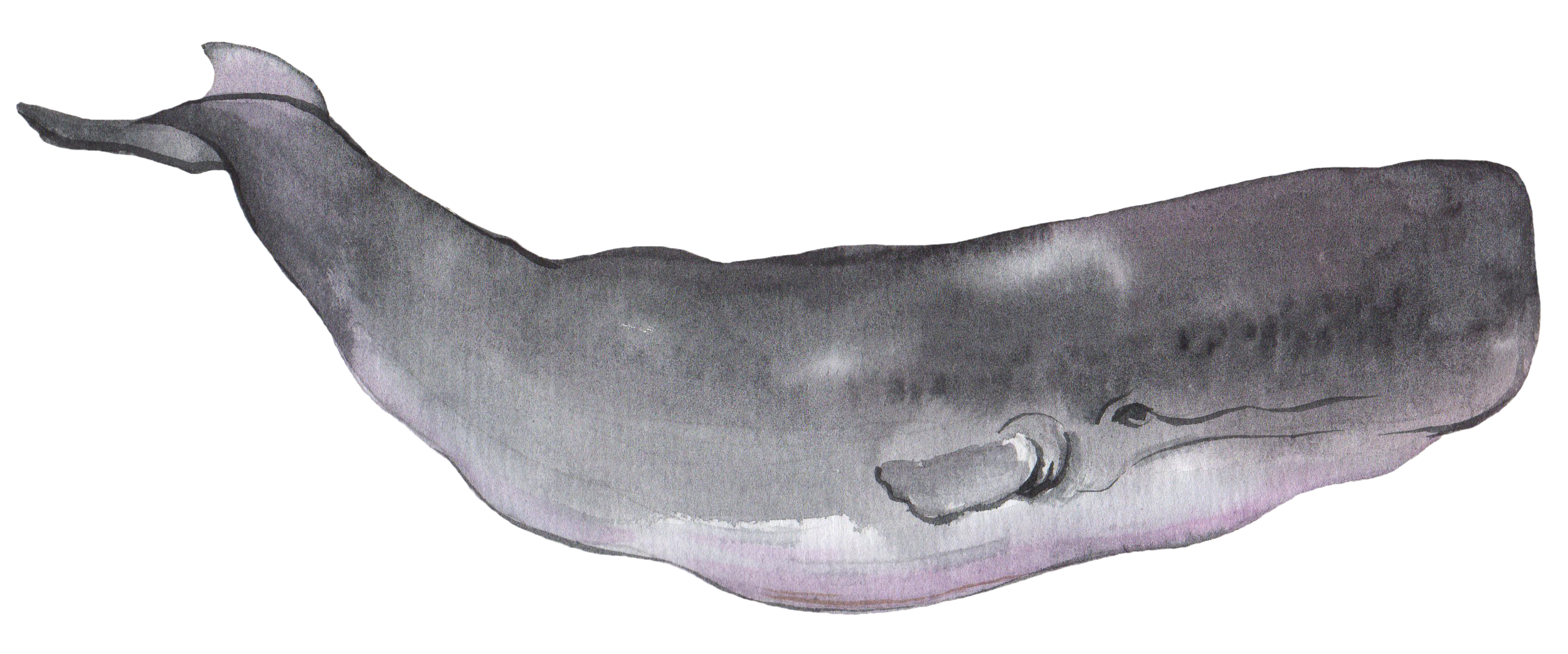 6.png