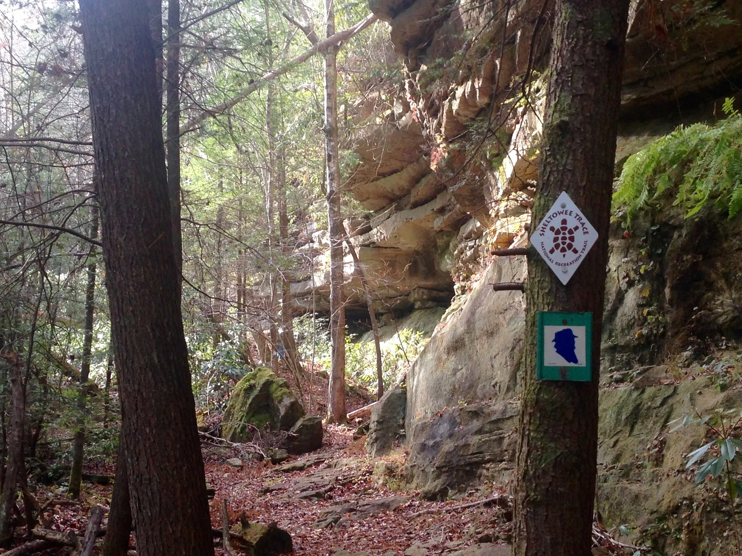 The John Muir trail and Sheltowee Trace trails