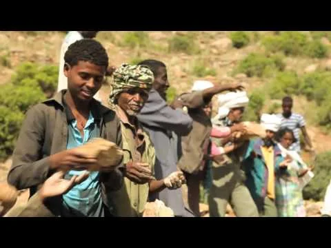 GCCA+ Farming for resilience in Rural Ethiopia