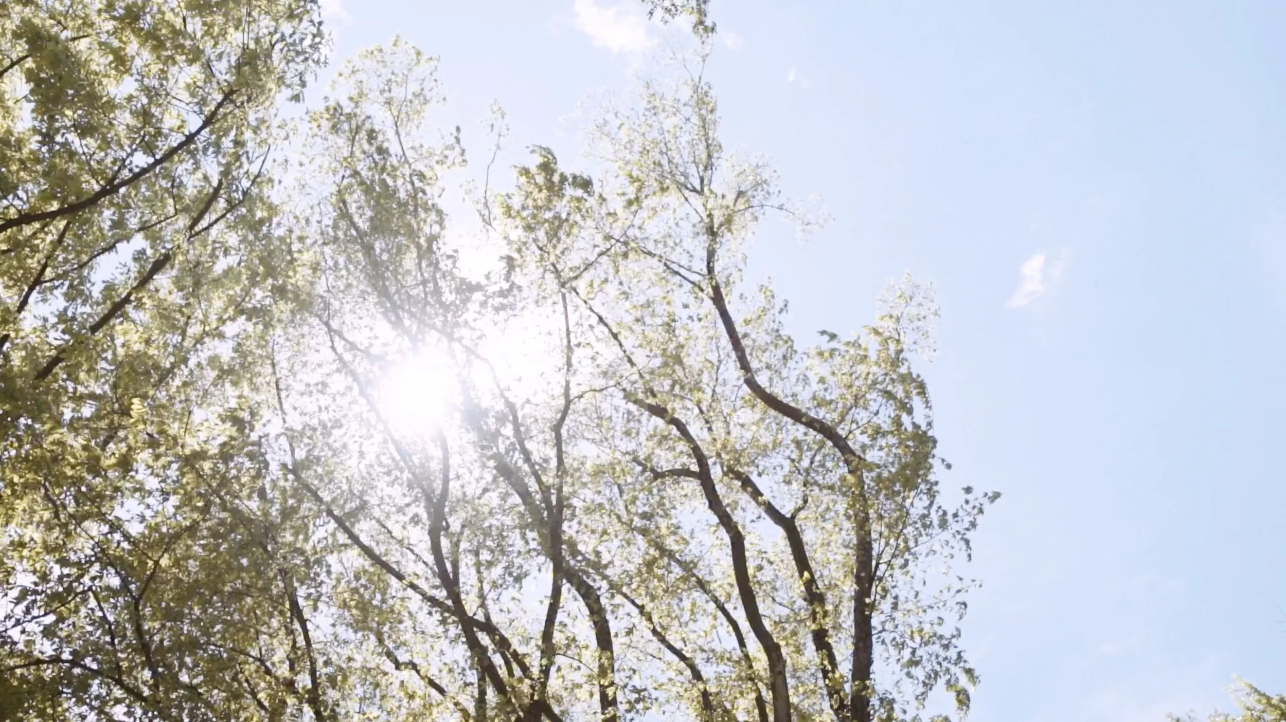 Screenshot 2020-03-10 at 11.55.jpeg