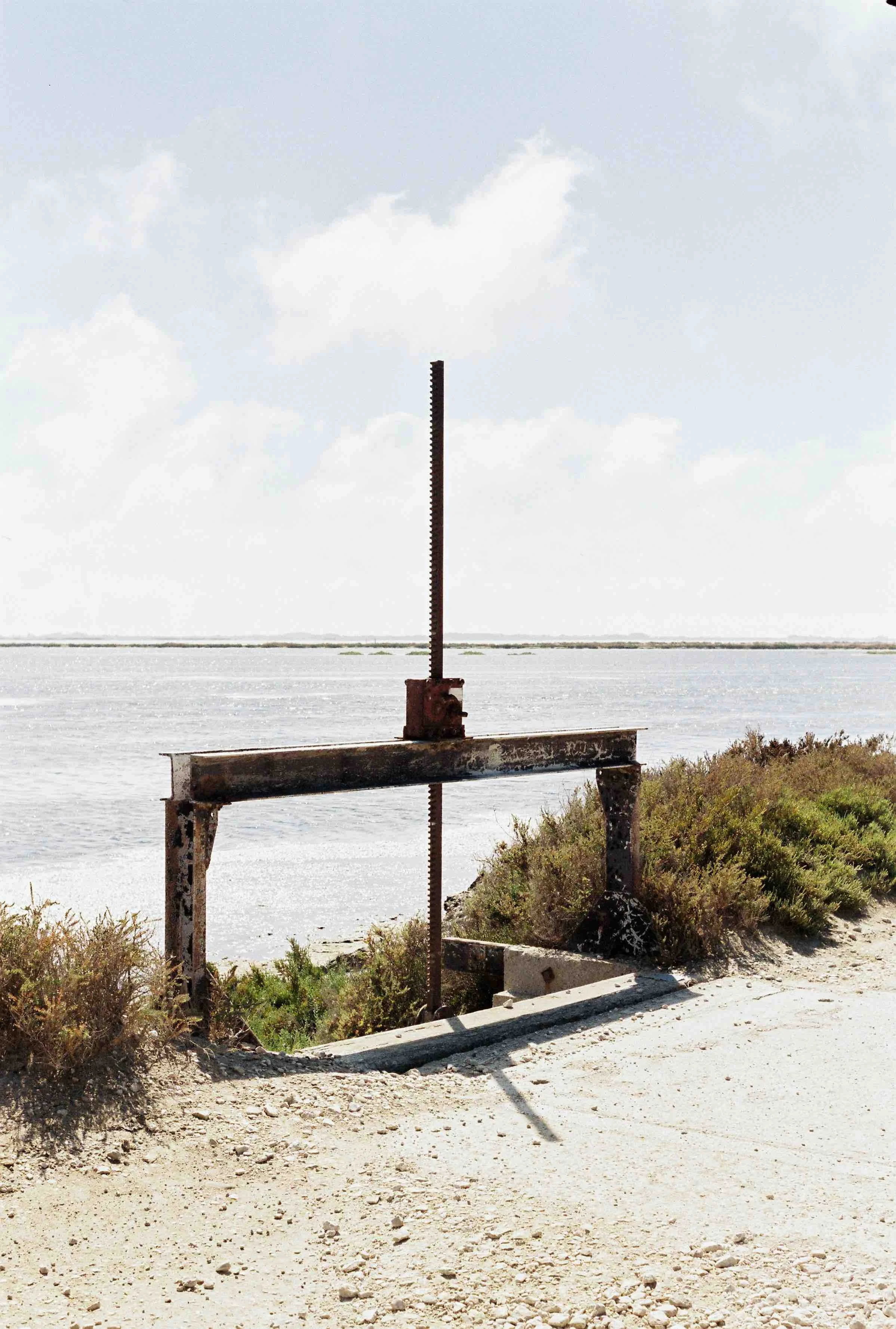 Provence + pepe-255.jpeg