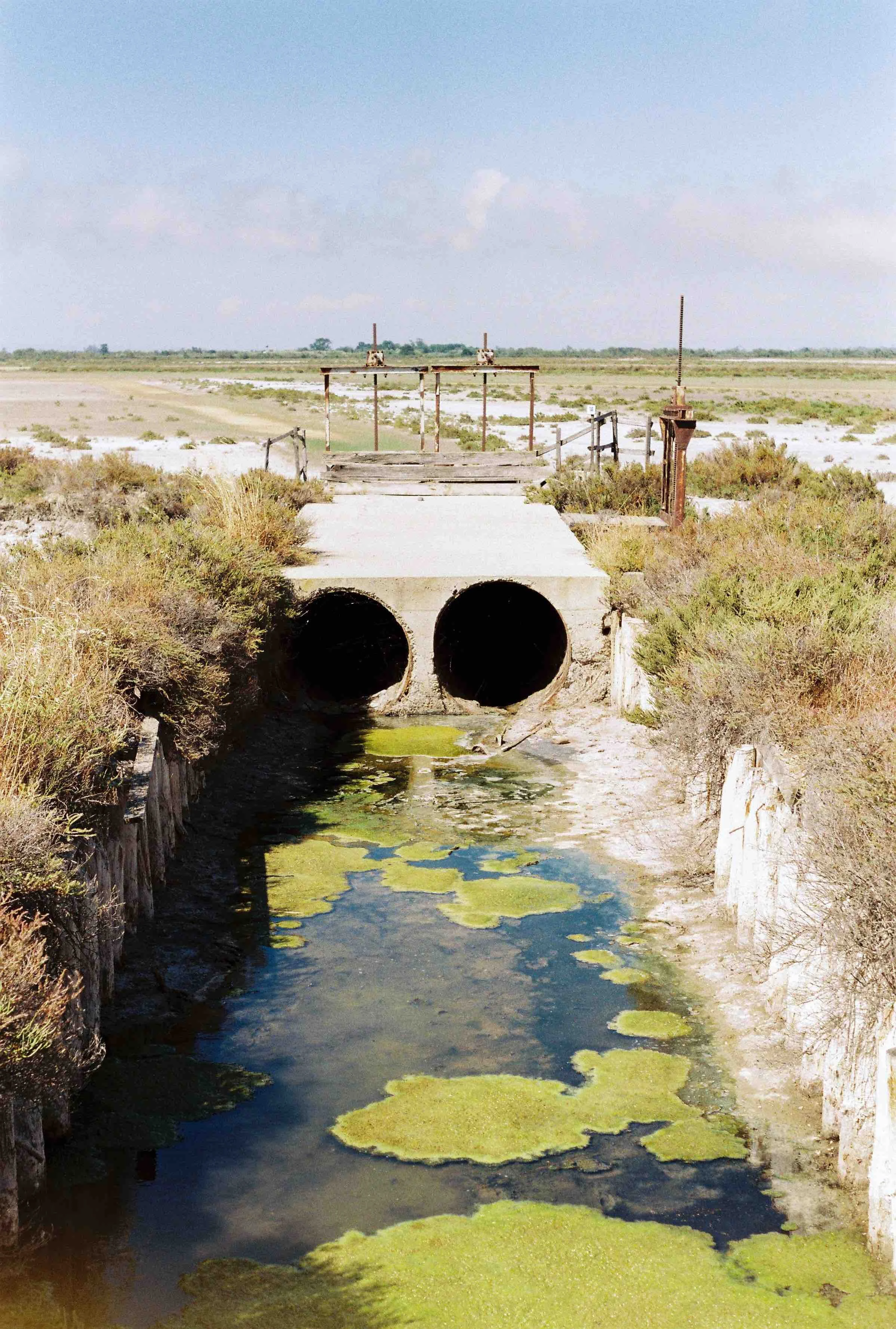 Provence + pepe-256.jpeg