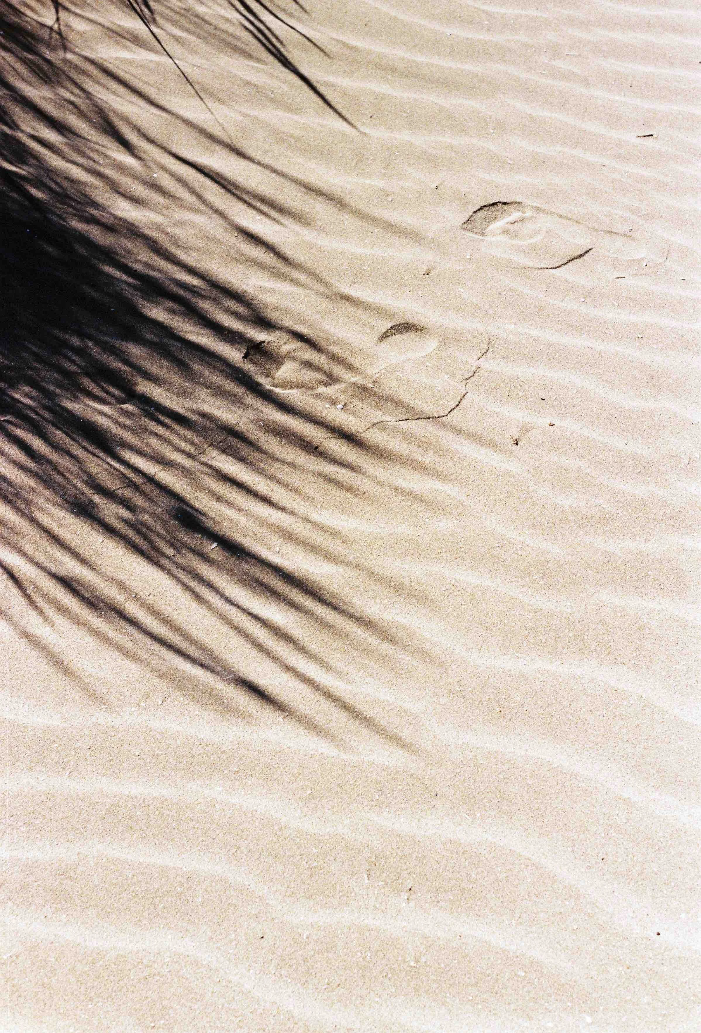 Provence + pepe-261.jpeg