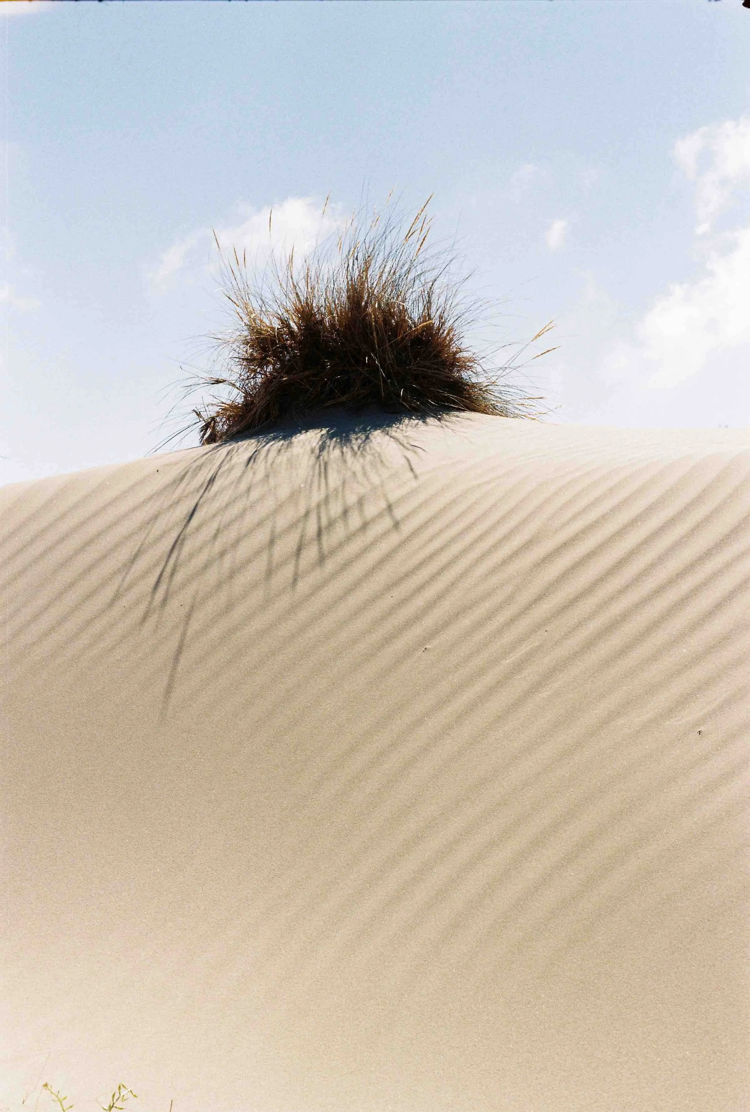 Provence + pepe-262.jpeg