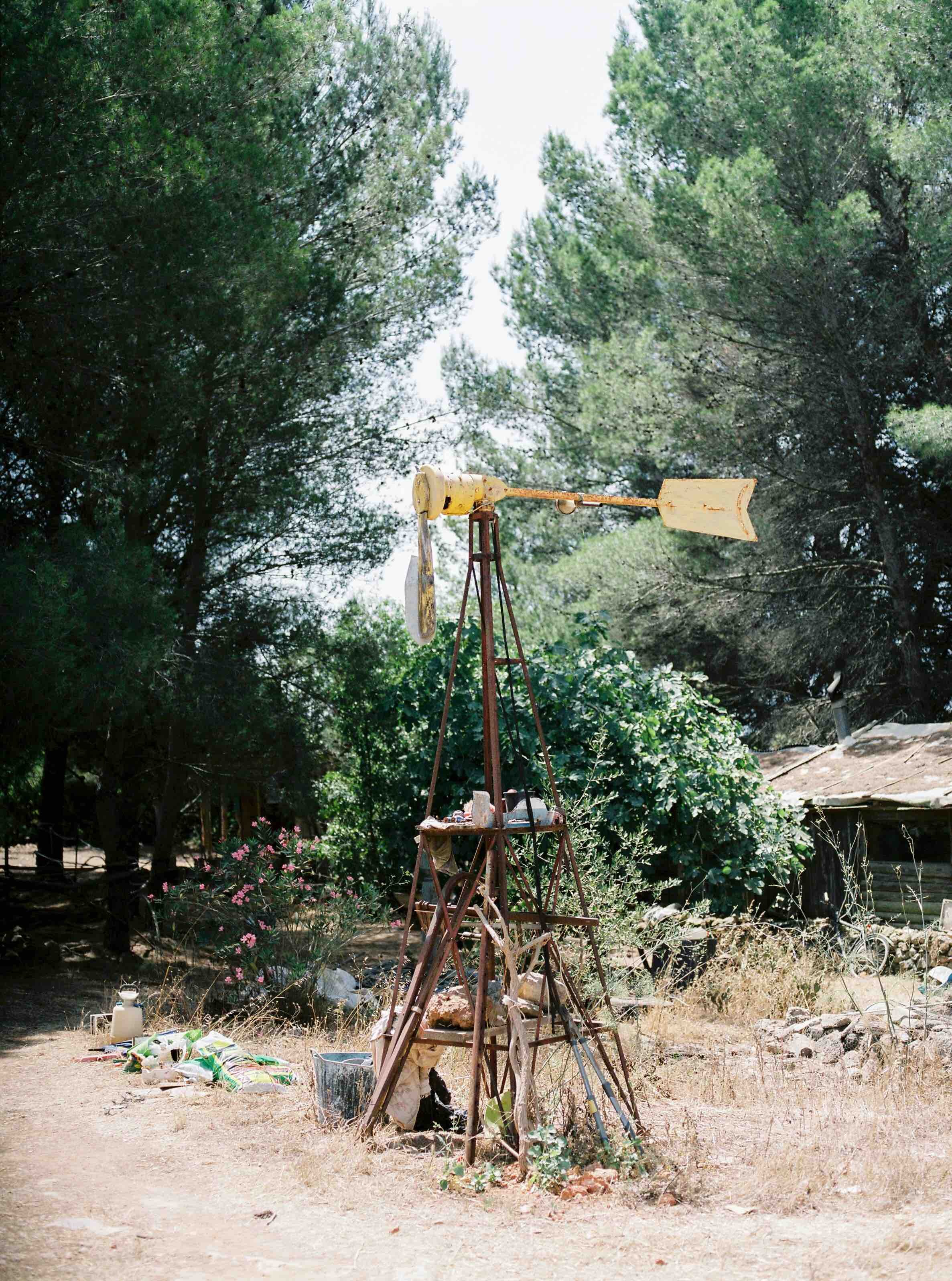 Provence + pepe-30.jpeg