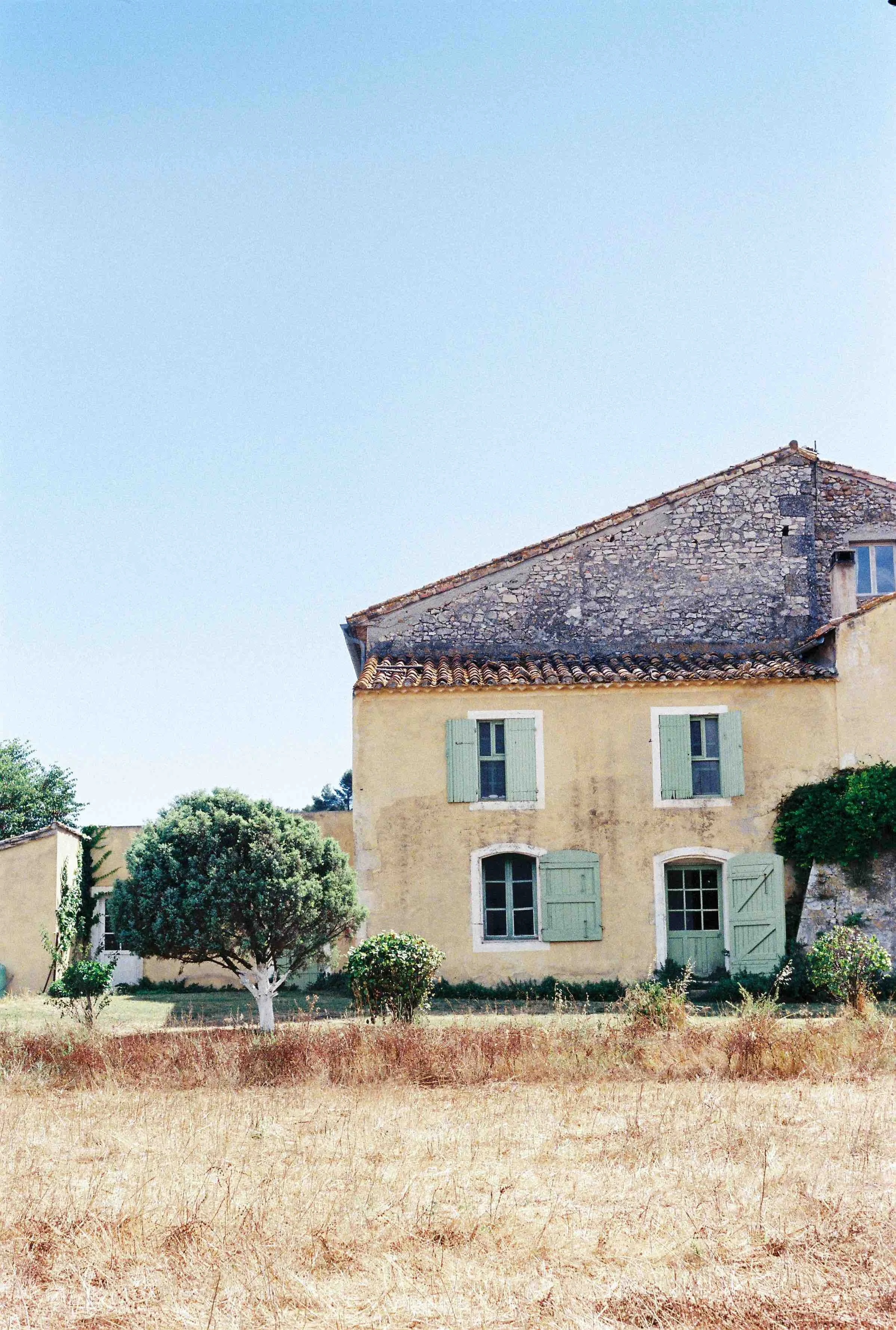 Provence + pepe-302.jpeg