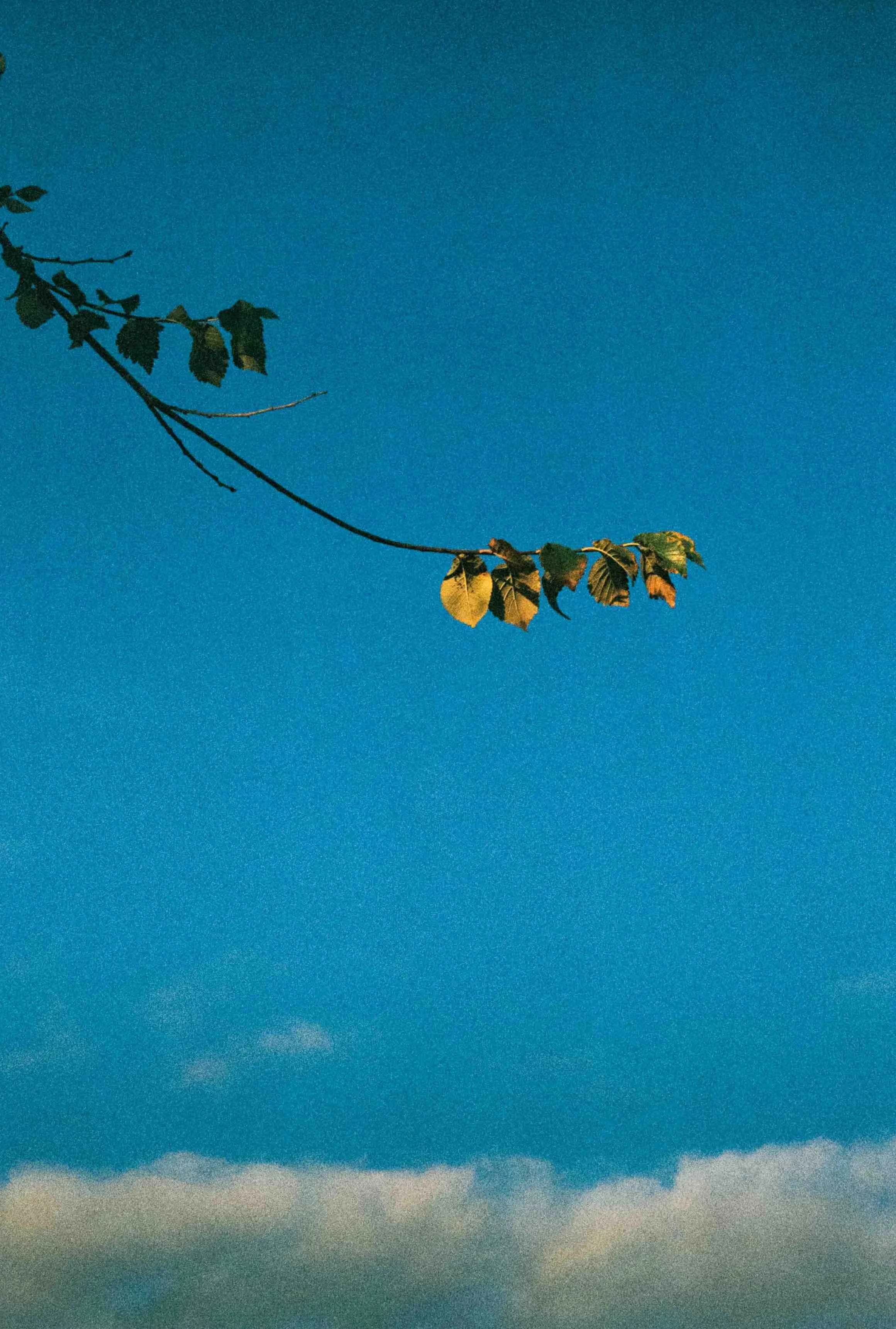 Giacomo Gex-378.jpeg