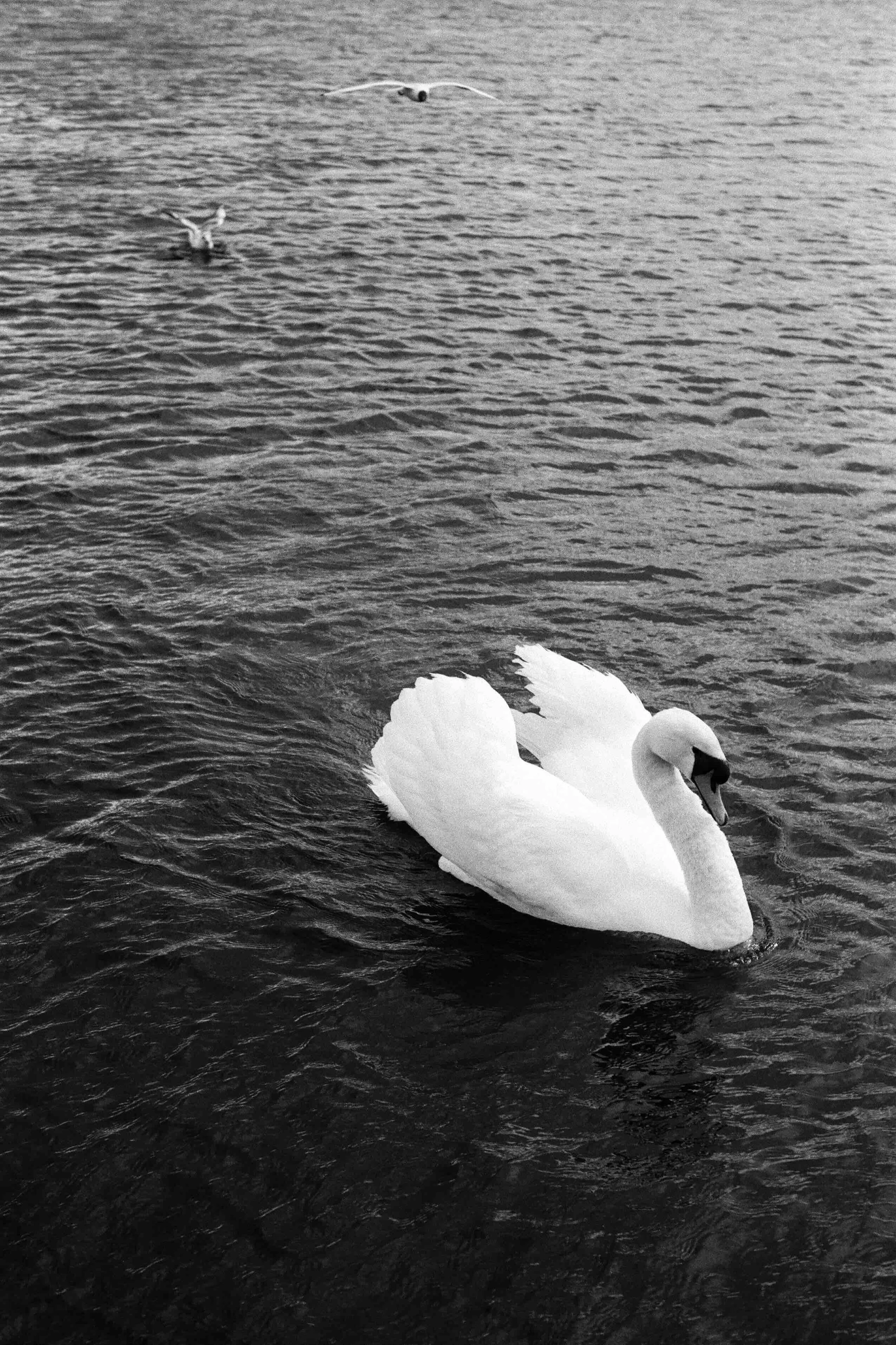 Giacomo Gex-430.jpeg