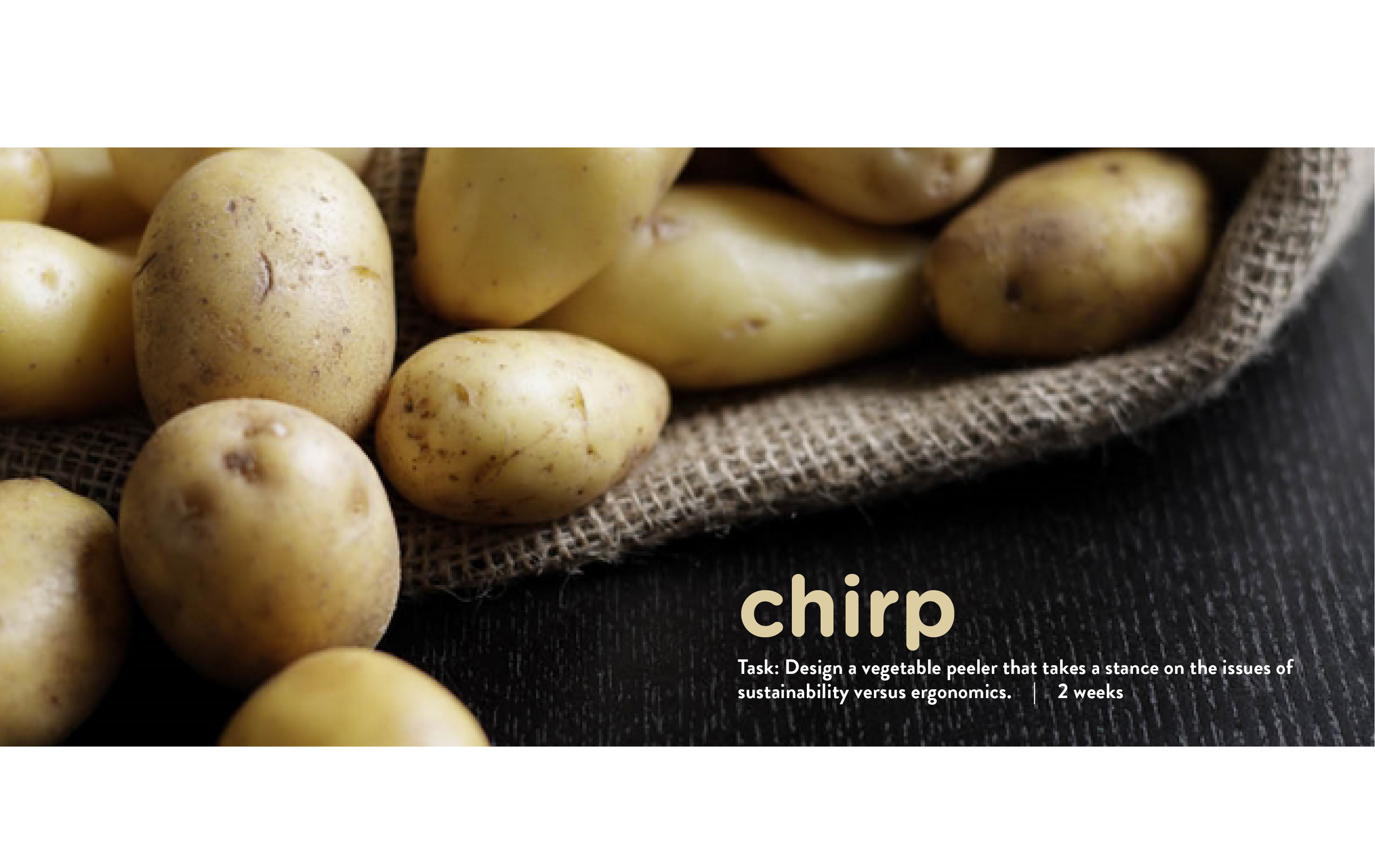 chirp website.png