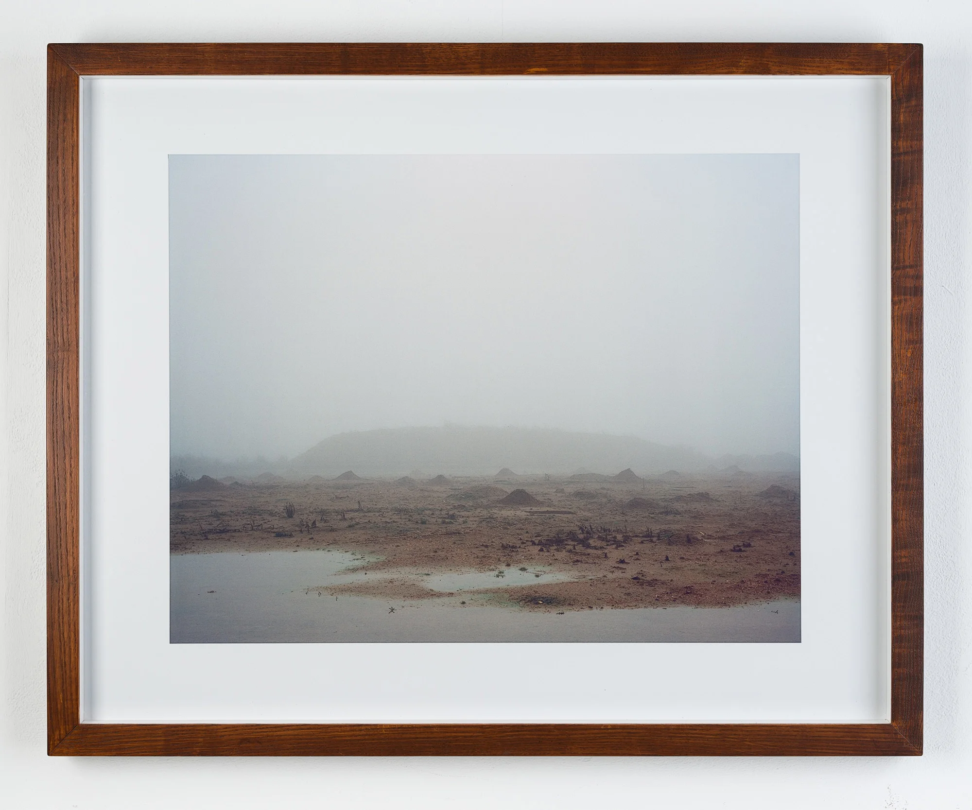 Tom-Lovelace-Site-407-framed.jpg