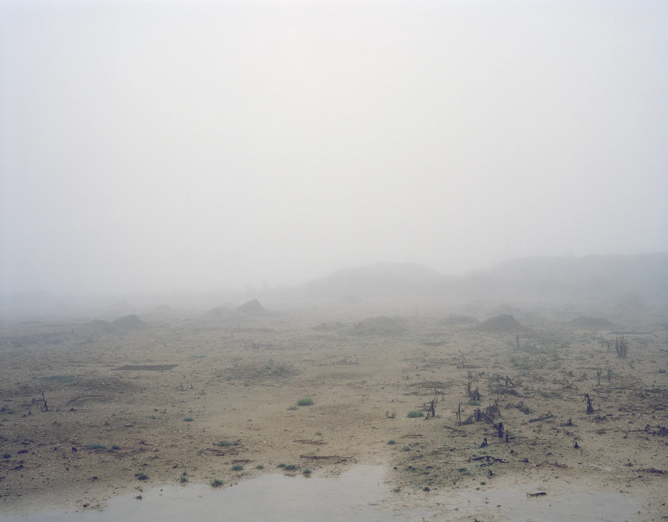 Tom-Lovelace-Site-407-Landscape-No.2.jpg