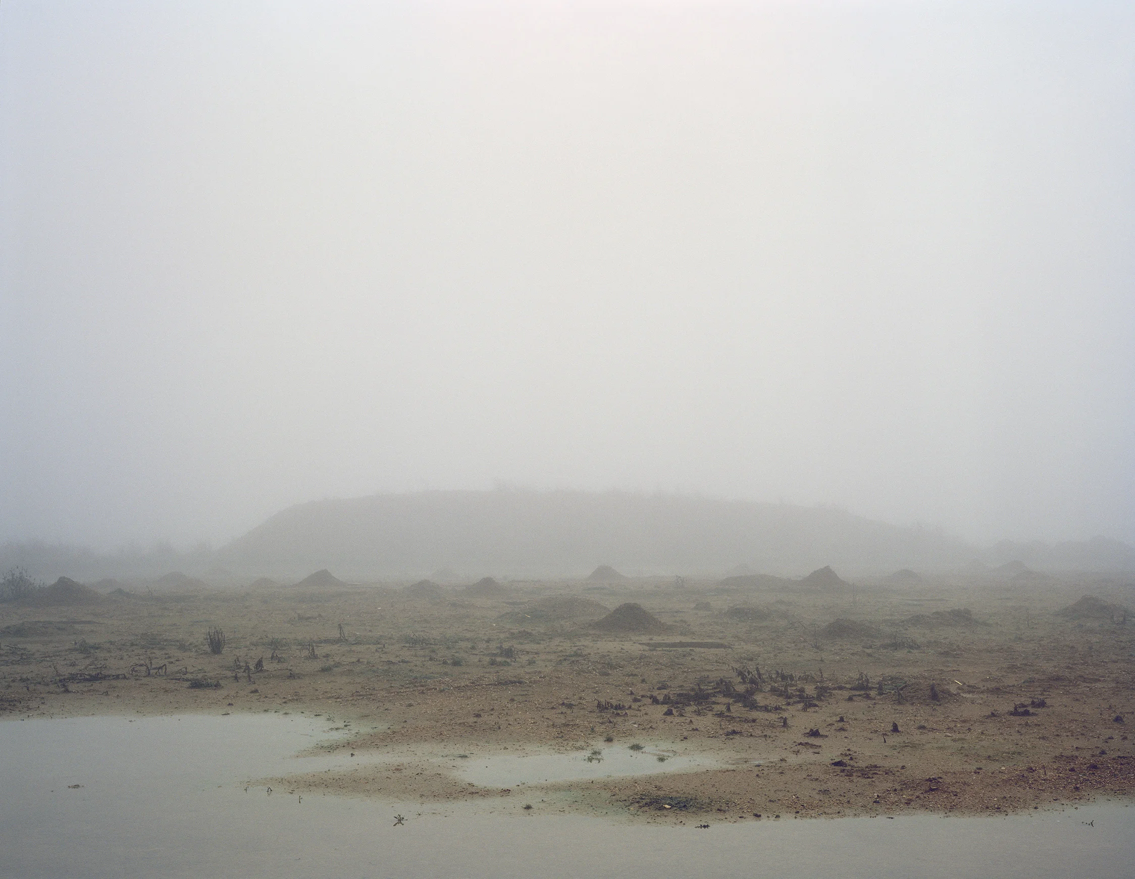 Tom-Lovelace-Site-407-Landscape-No.4.jpg
