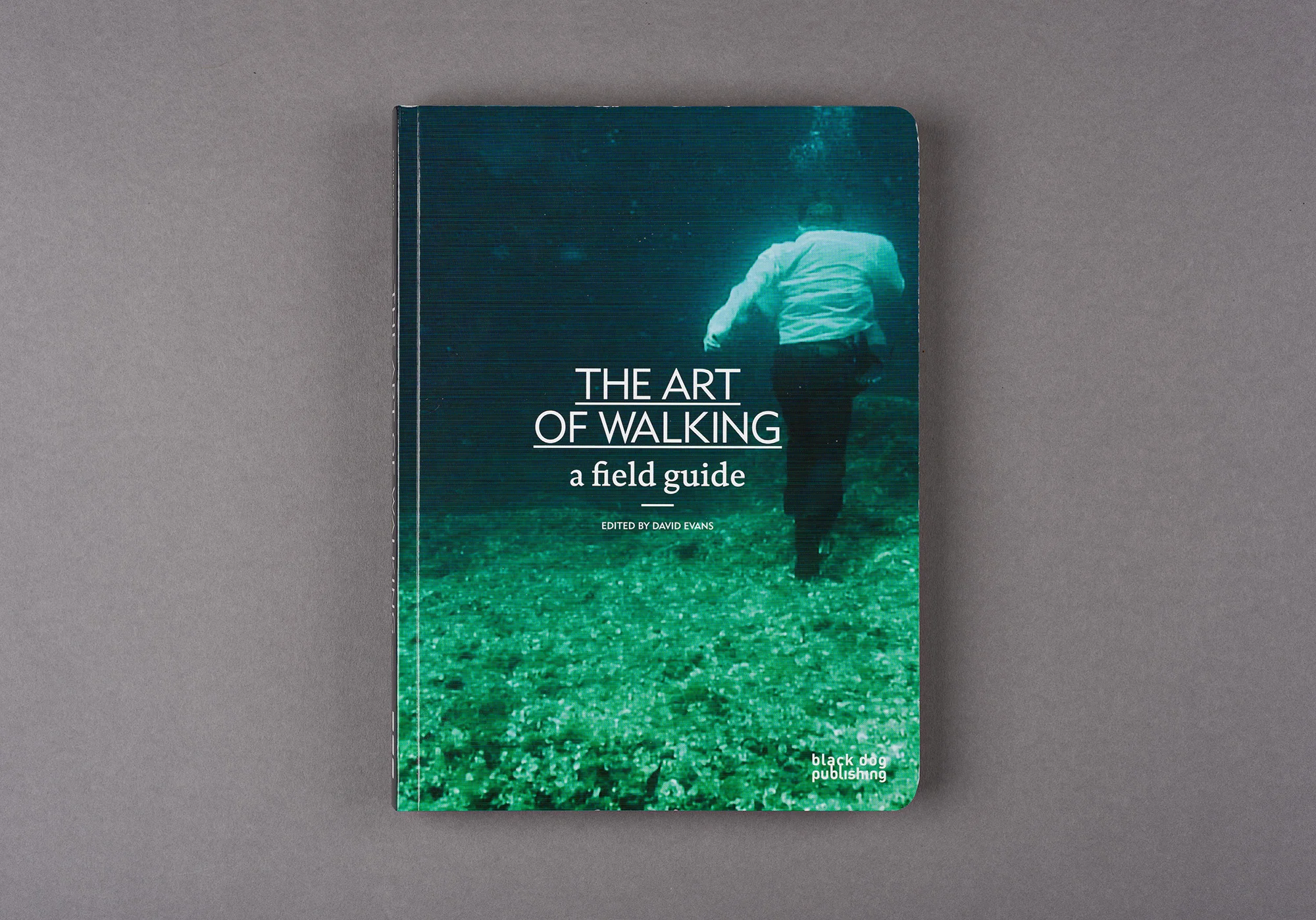 The Art of Walking: A Field Guide Edited by David Evans 2014 An Extensive survey of walking in contemporary art Contributors include Keith Arnatt, Marina Abramovic, Franko B, Rut Blees Luxemburg, Marcus Coates, Hamish Fulton, Richard Long, Tom Lovelace, Melanie Manchot, Bruce Nauman, Simon Pope and Catherine Yass. Black Dog Publishing 