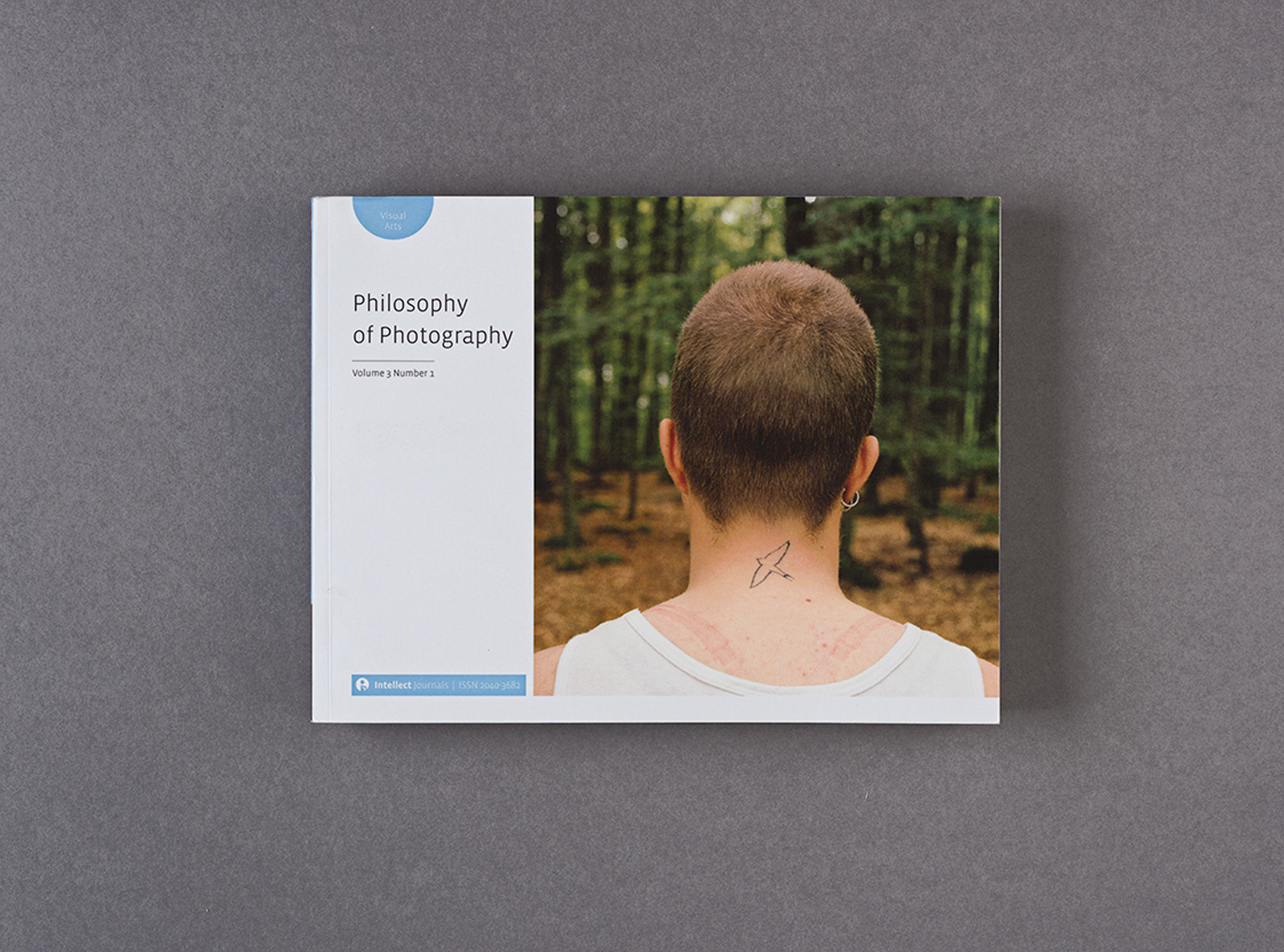 Philosophy of Photography Journal Essay by Sandra Plummer. Featured work, Forms in Green