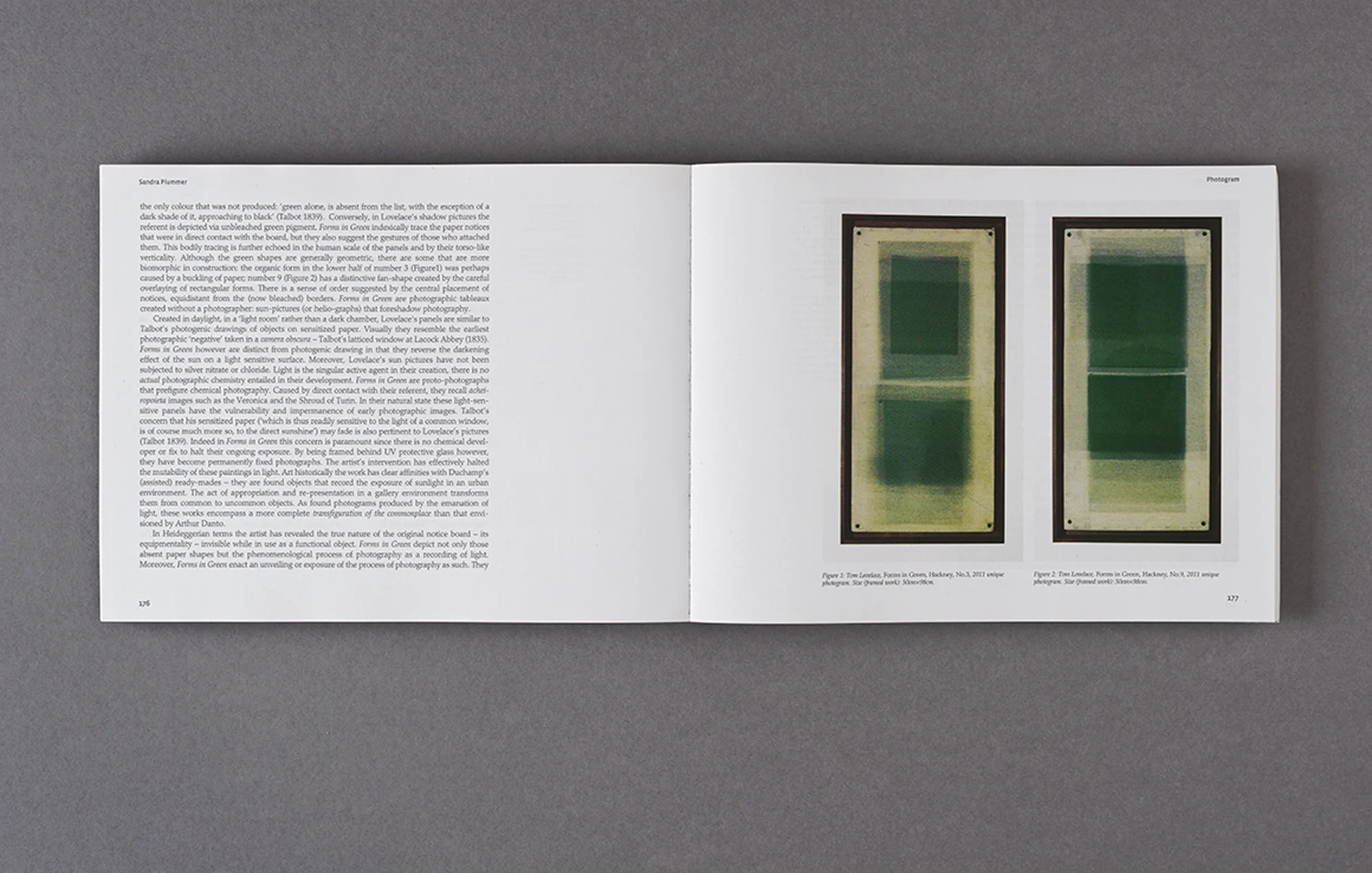 Philosophy of Photography Journal Essay by Sandra Plummer. Featured work, Forms in Green