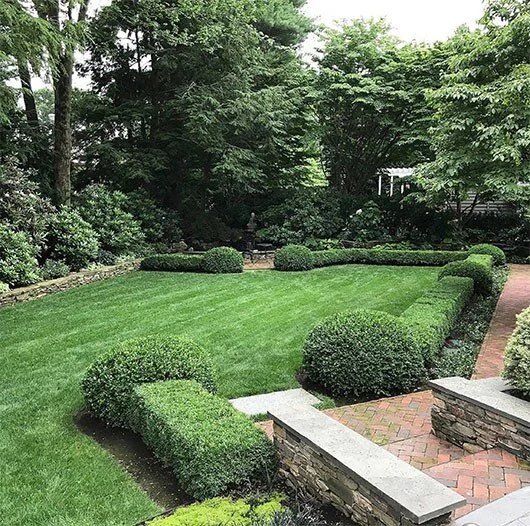 Roots of Lawn Disease