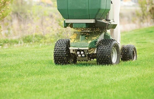 Why Do We Fertilize Lawns?