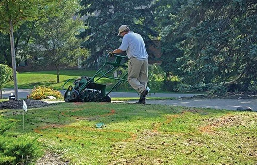 Reseed and Repair Damaged Turf