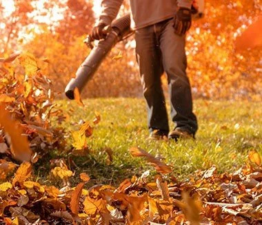 Fall Cleanups for a Healthy Spring