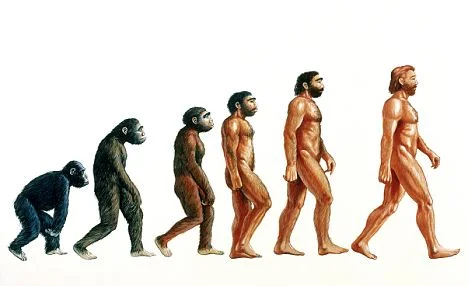 Posture & Parkinson's: The Bad, The Good, The Reframed Perspective