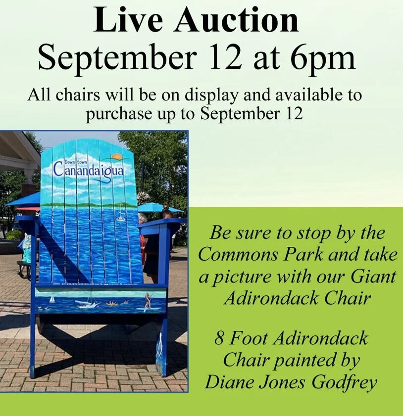 Adirondack Chair"ity" Auction
