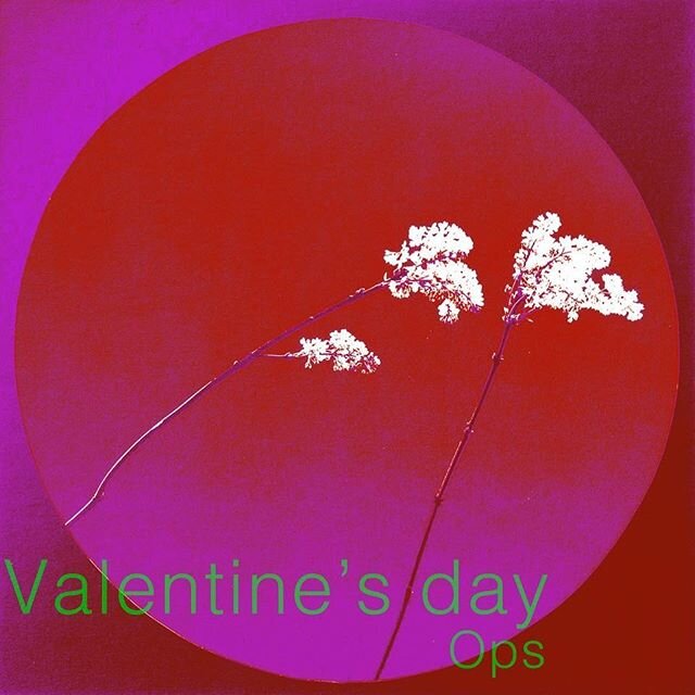 friday, february 14th, 2020. for reservations please email hello@opsbk.com 💘