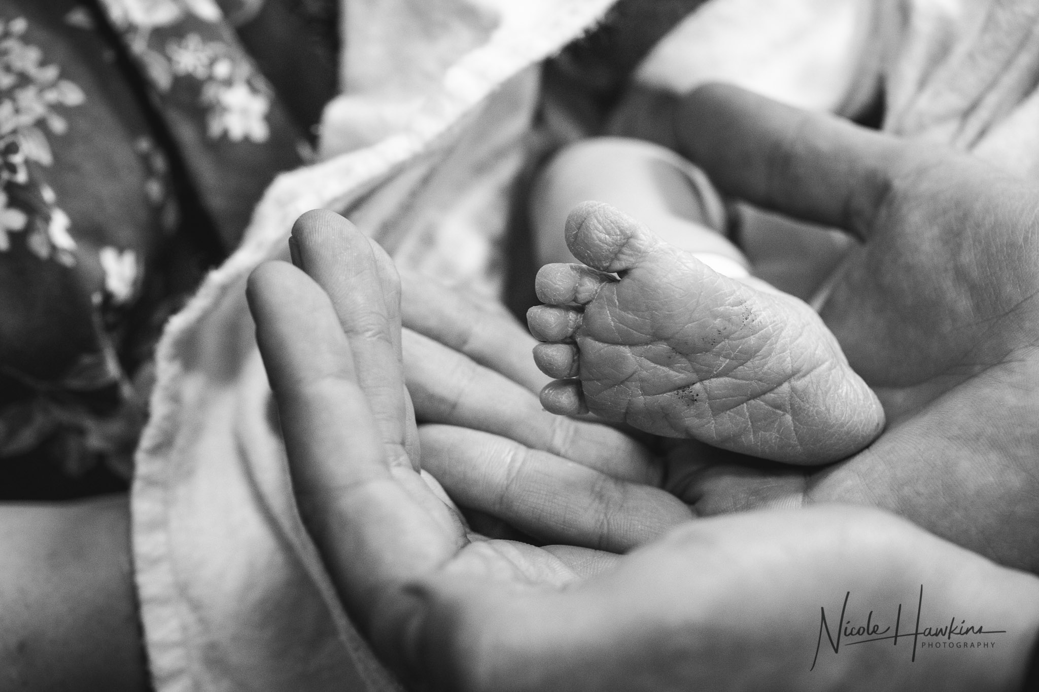 Wyatt's Newborn Fresh 48 Hospital Photography in Manhattan - NYC Hospital Photographer