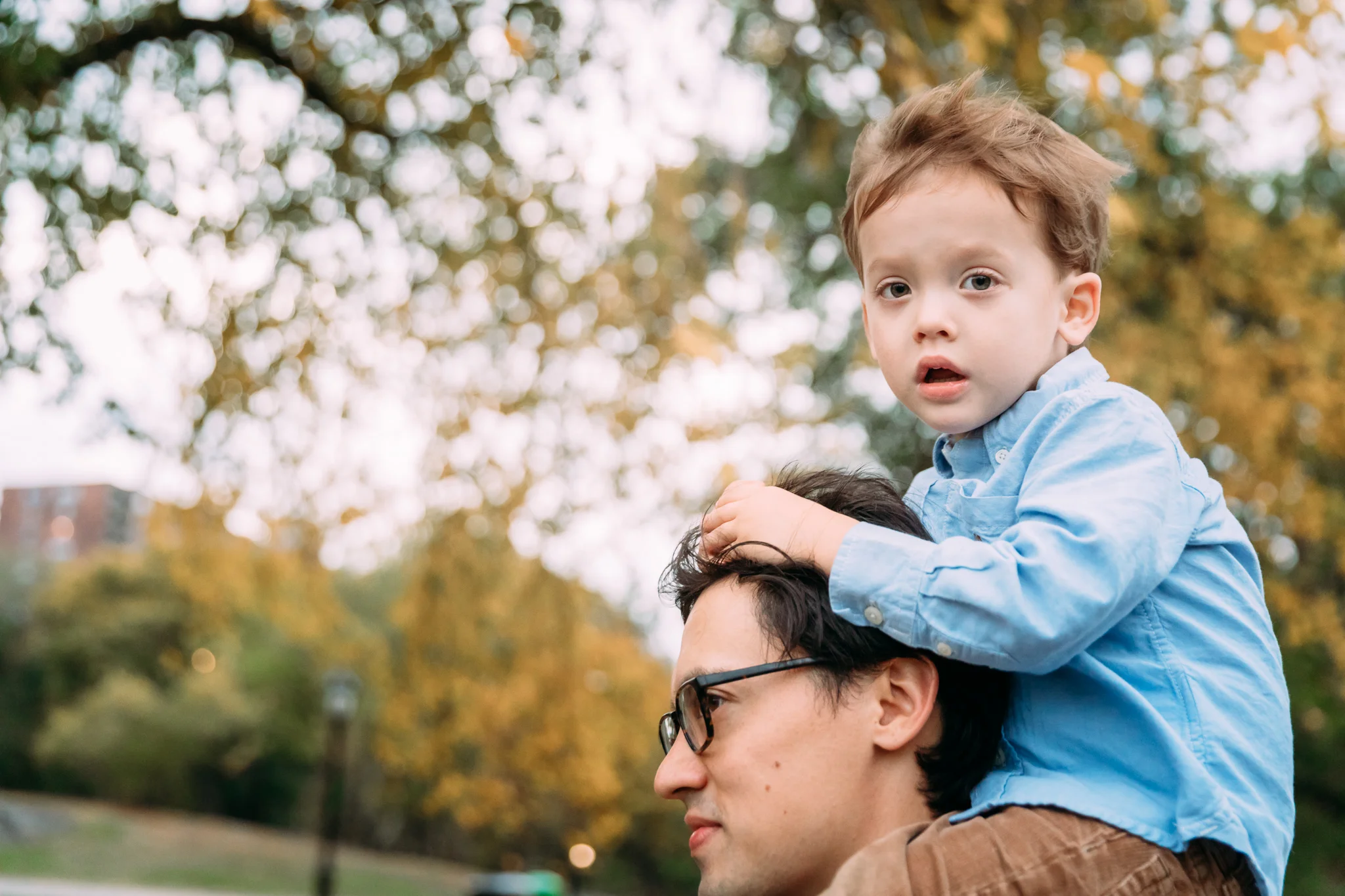 Fordfamily_Fall2017_Web-63.jpg