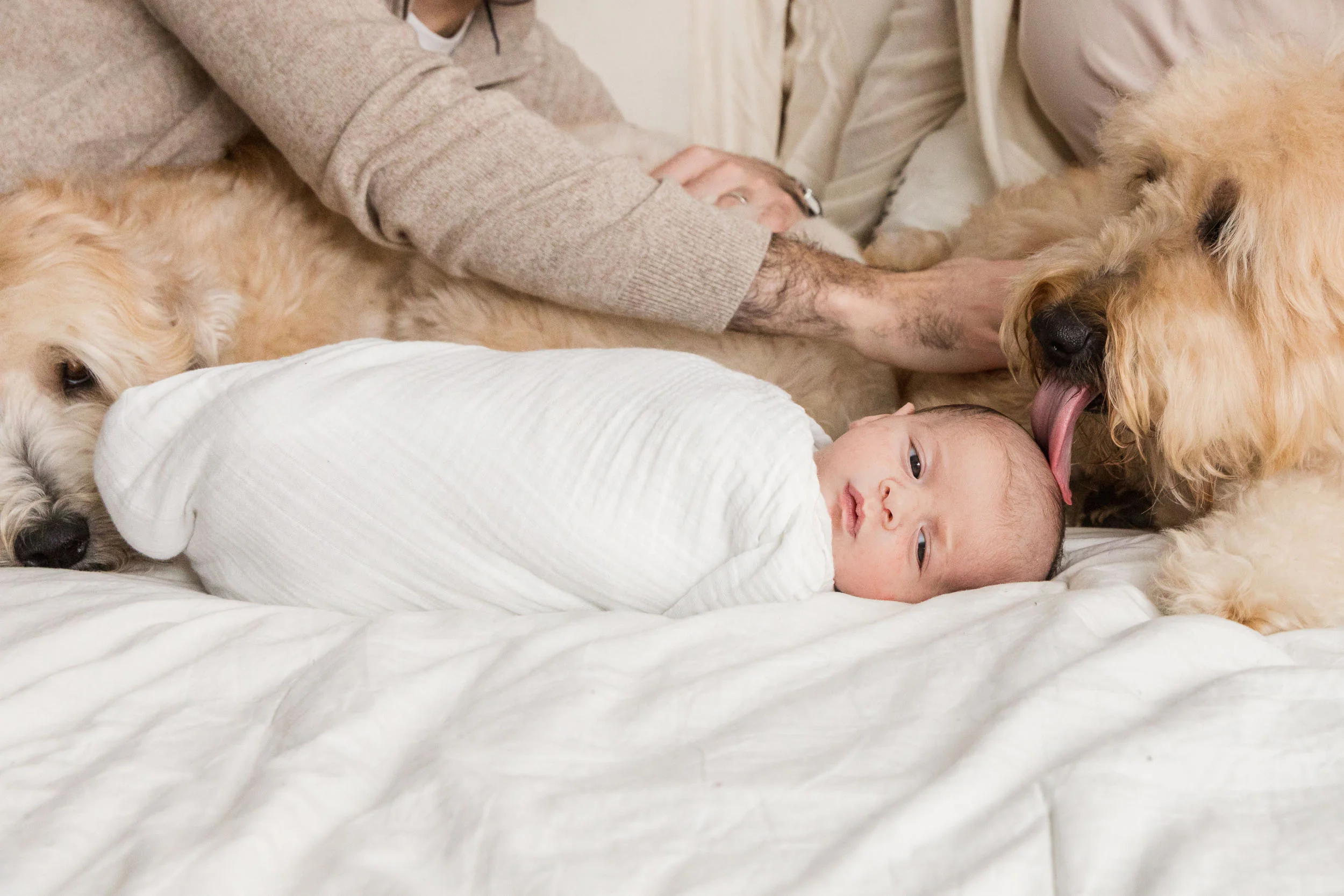 DUMBO_Brooklyn_newborn_baby_boy_portraits-30.jpg