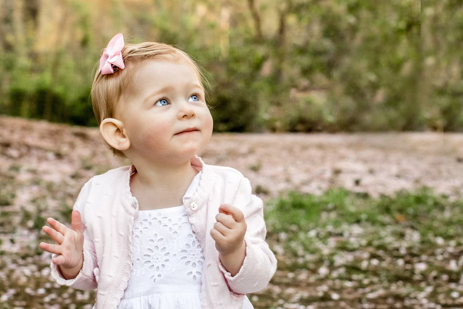 NicoleHawkinsPhotography_NYC_Shea_April_2019_Web-33.jpg