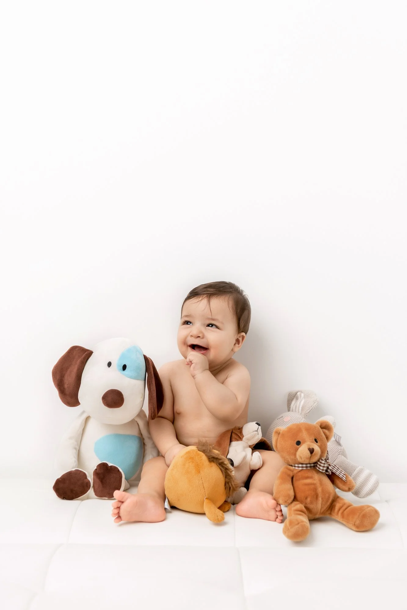  New Jersey Photographer captures a little boy with his stuffed animals surrounding him at a studio with white walls and bright white lighting. Baby with stuffed animals stuffed dog animals #nicolehawkinsphotography #nicolehawkinsbabies #newjerseyfba