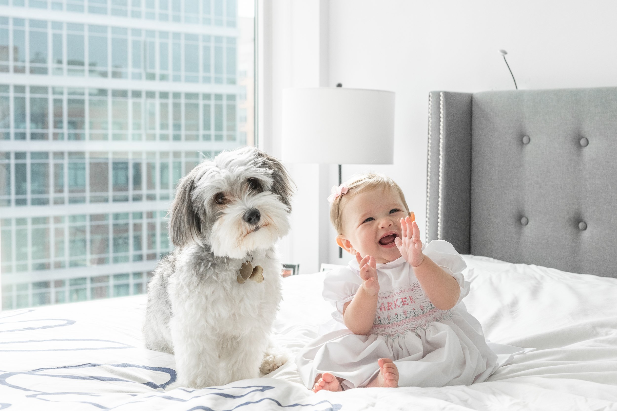  Little girl claps while sitting with her dog at a home session in Nicole Hawkins Photography. girl and her dog baby and dog on the bed in home #nicolehawkinsphotography #newjerseyphotographers #familyphotographer #6monthportraits #NJfamilyphotos 