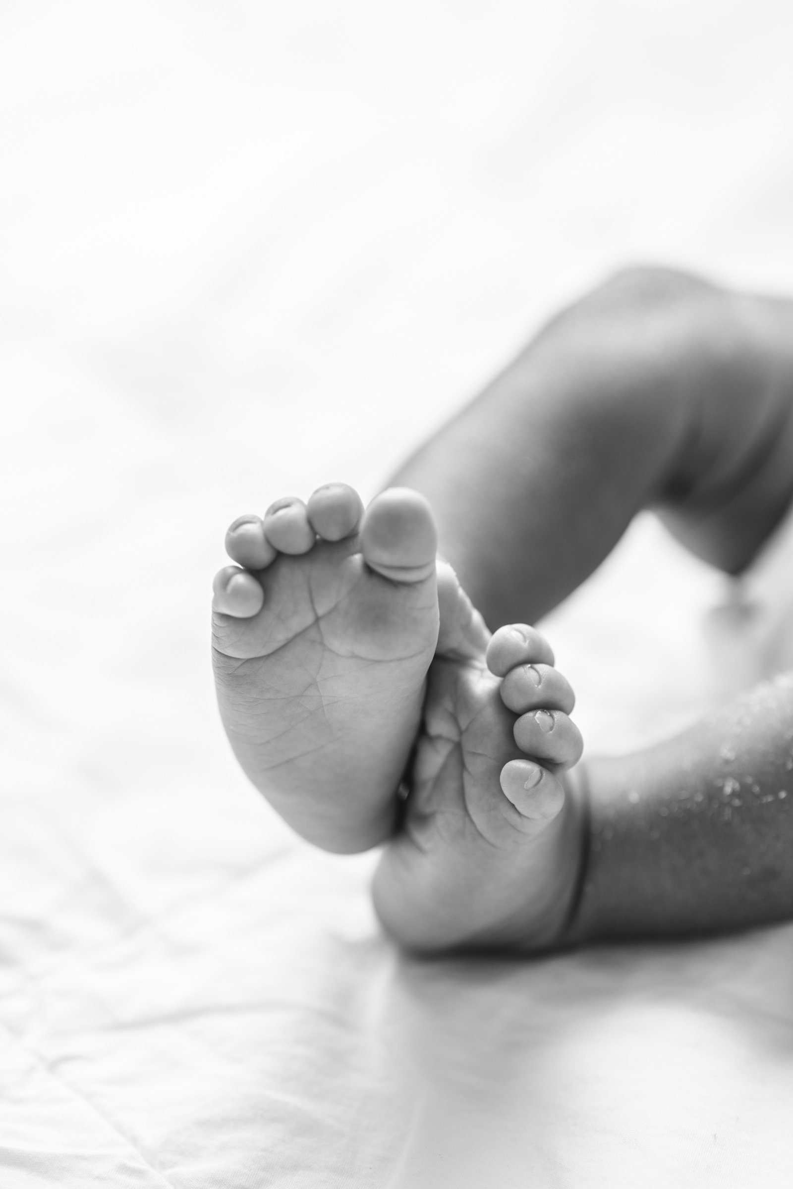  Baby toes in a black and white portrait in a New Jersey studio by Nicole Hawkins Photography. close up newborn shots newborn poses #nicolehawkinsphotography #NJbabyphotography #newbornportraits #NewJerseyStudioPhotography #newbornsession 