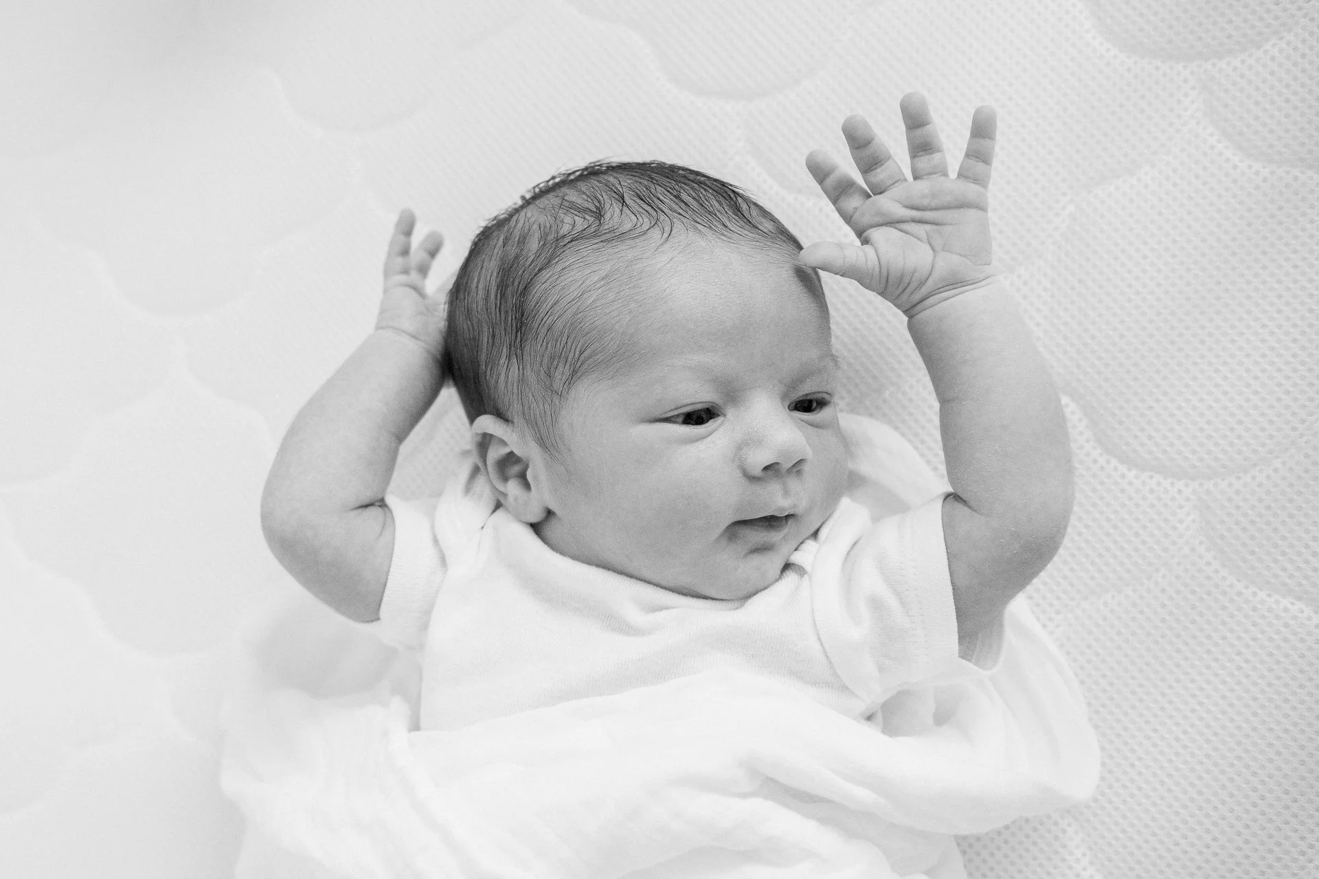  New York City Newborn Photographer Nicole Hawkins Photography captures a baby with hands in the air. newborn portraits in New York City baby boy #nicolehawkinsphotography #NYCbabyphotography #newbornportraits #NewYorkStudioPhotography #newbornsessio