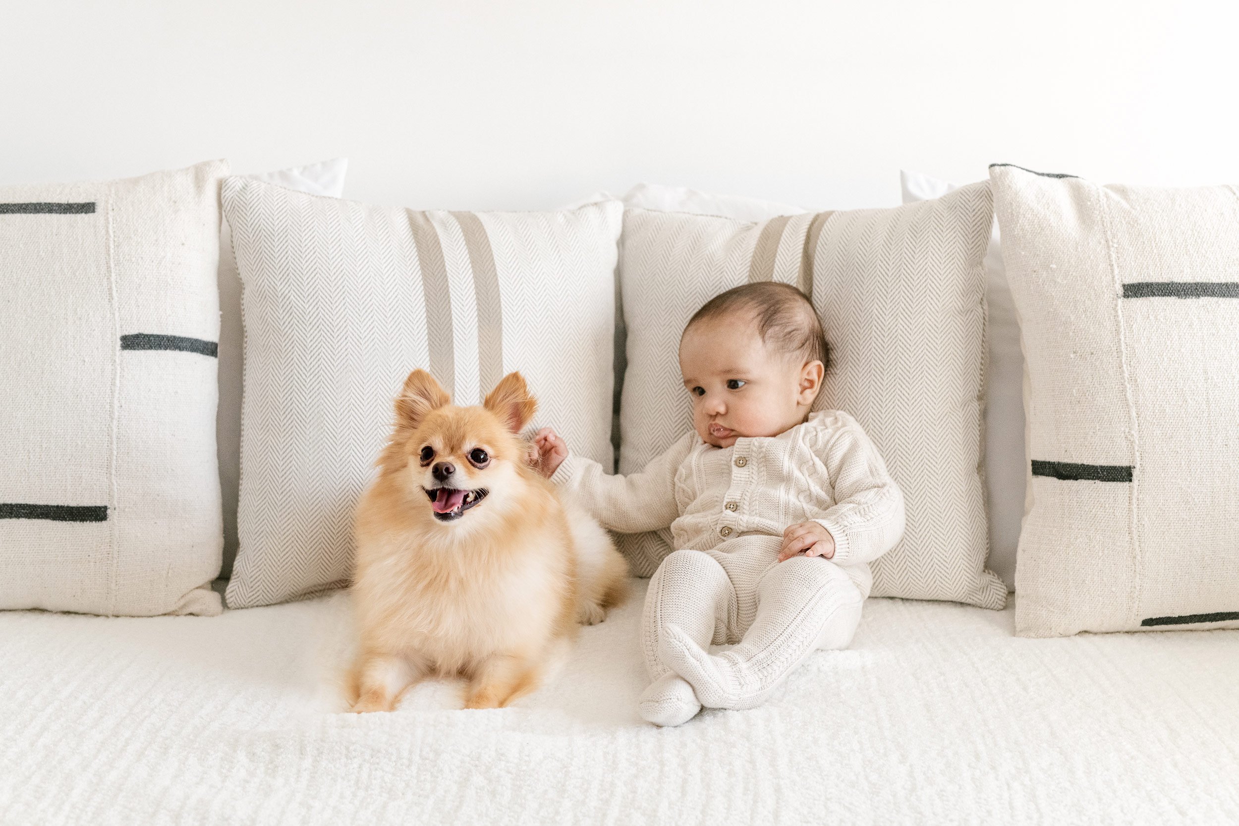  Nicole Hawkins Photography captures a baby with his doggy on a bed in New York. baby and dog family dog portraits #NicoleHawkinsPhotography #InHomeNewborns #NurseryNewborns #NYCbabyphotography #babyportraits #ZooNursery #familyportraits 