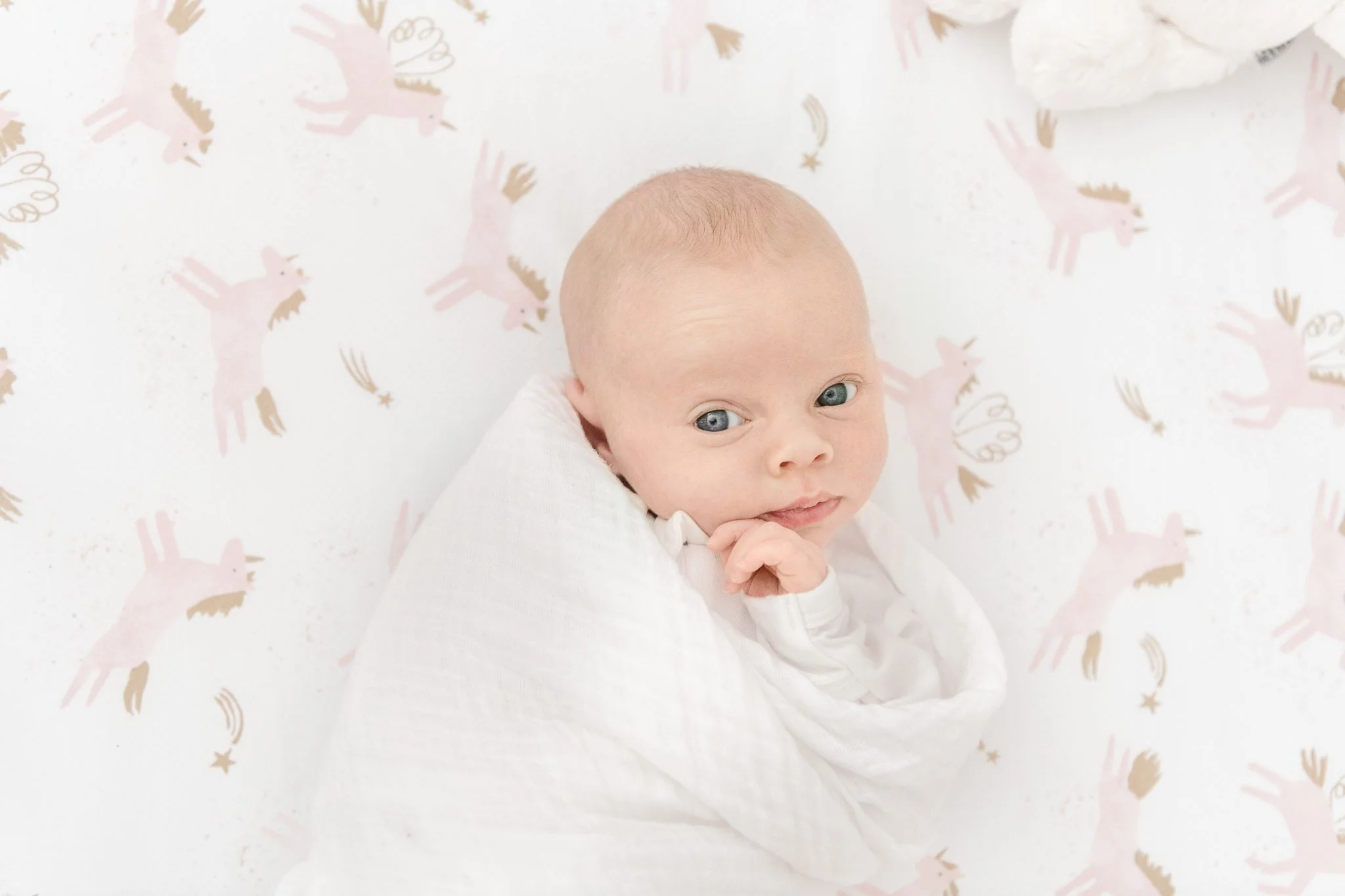 Sawyer | Chatham NJ Newborn