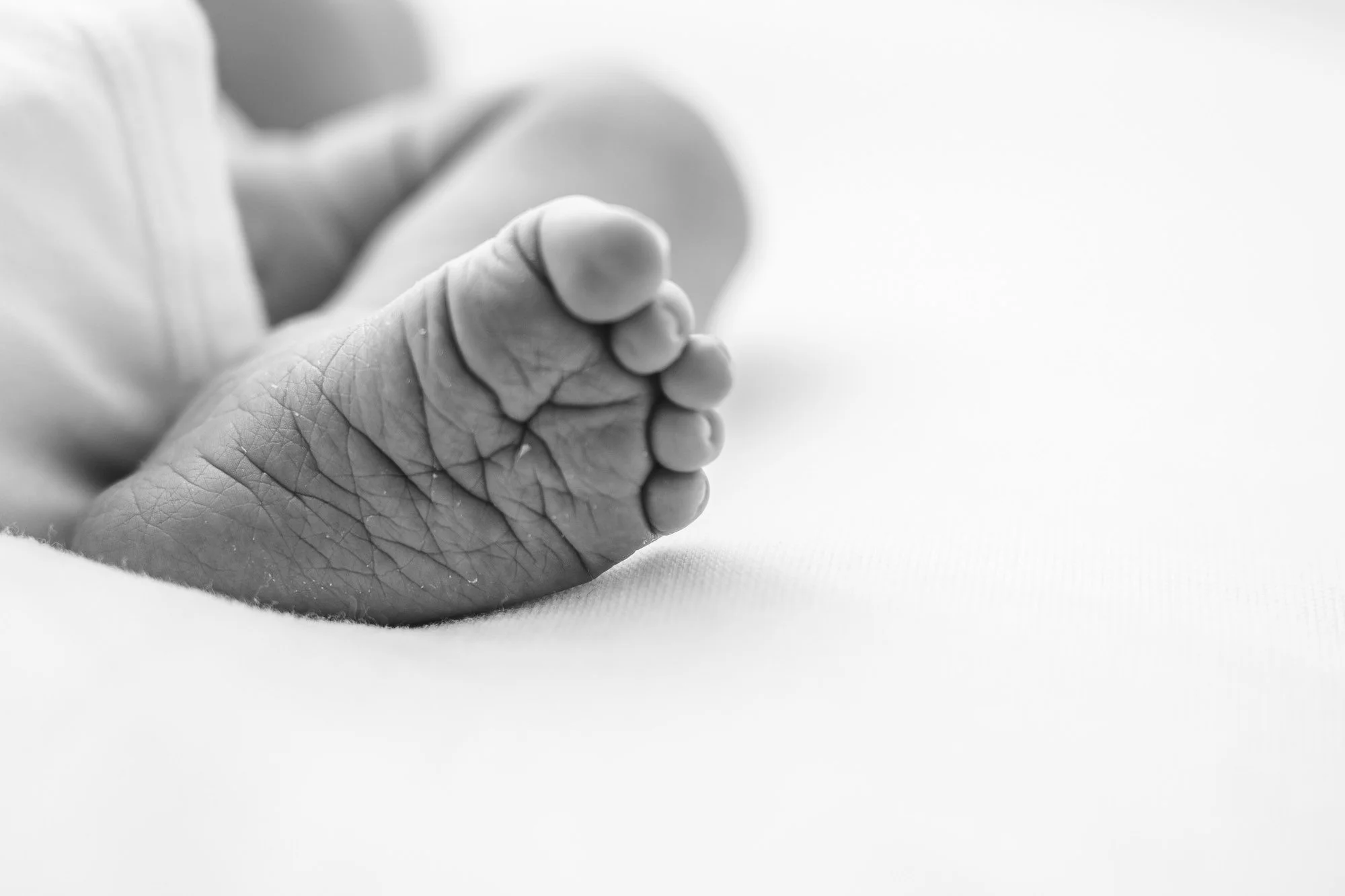 The tiniest newborn toes captured by Nicole Hawkins photography in her Maplewood, New Jersey studio. Timeless pictures that parents will love. #instudionewbornsession #NicoleHawkinsphotography #newbornportraits #NewJerseynewbornphotographer #NewJerse