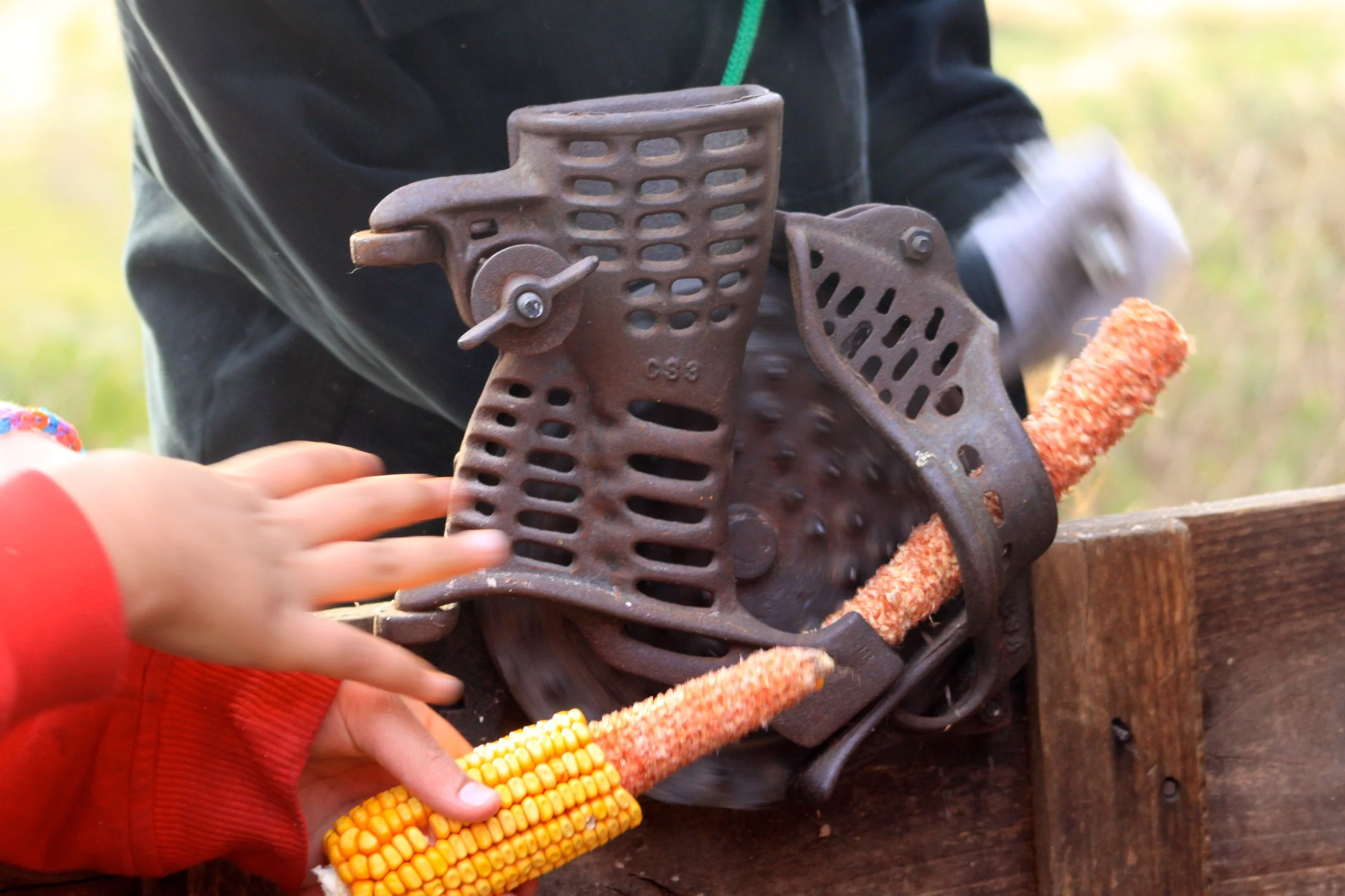 IMG_2942.JPG
